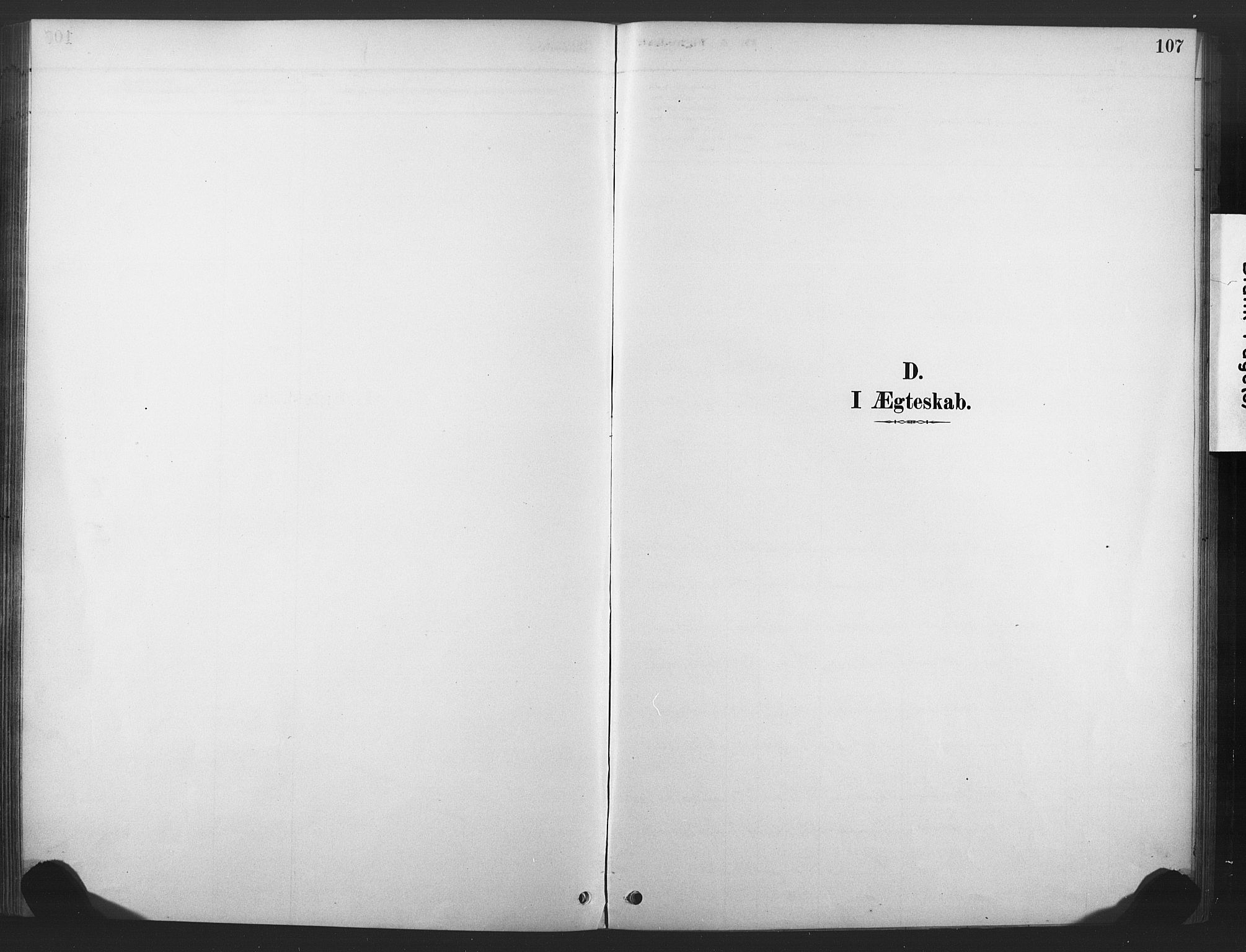 Nore kirkebøker, SAKO/A-238/F/Fd/L0001: Parish register (official) no. IV 1, 1878-1918, p. 107