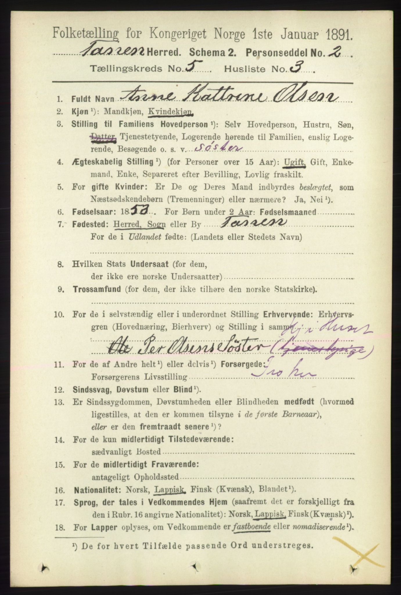 RA, 1891 census for 2025 Tana, 1891, p. 2008