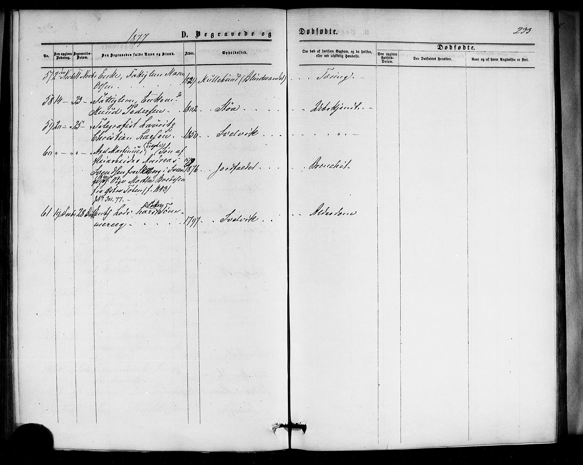 Strømm kirkebøker, SAKO/A-322/F/Fa/L0002: Parish register (official) no. I 2, 1870-1877, p. 233