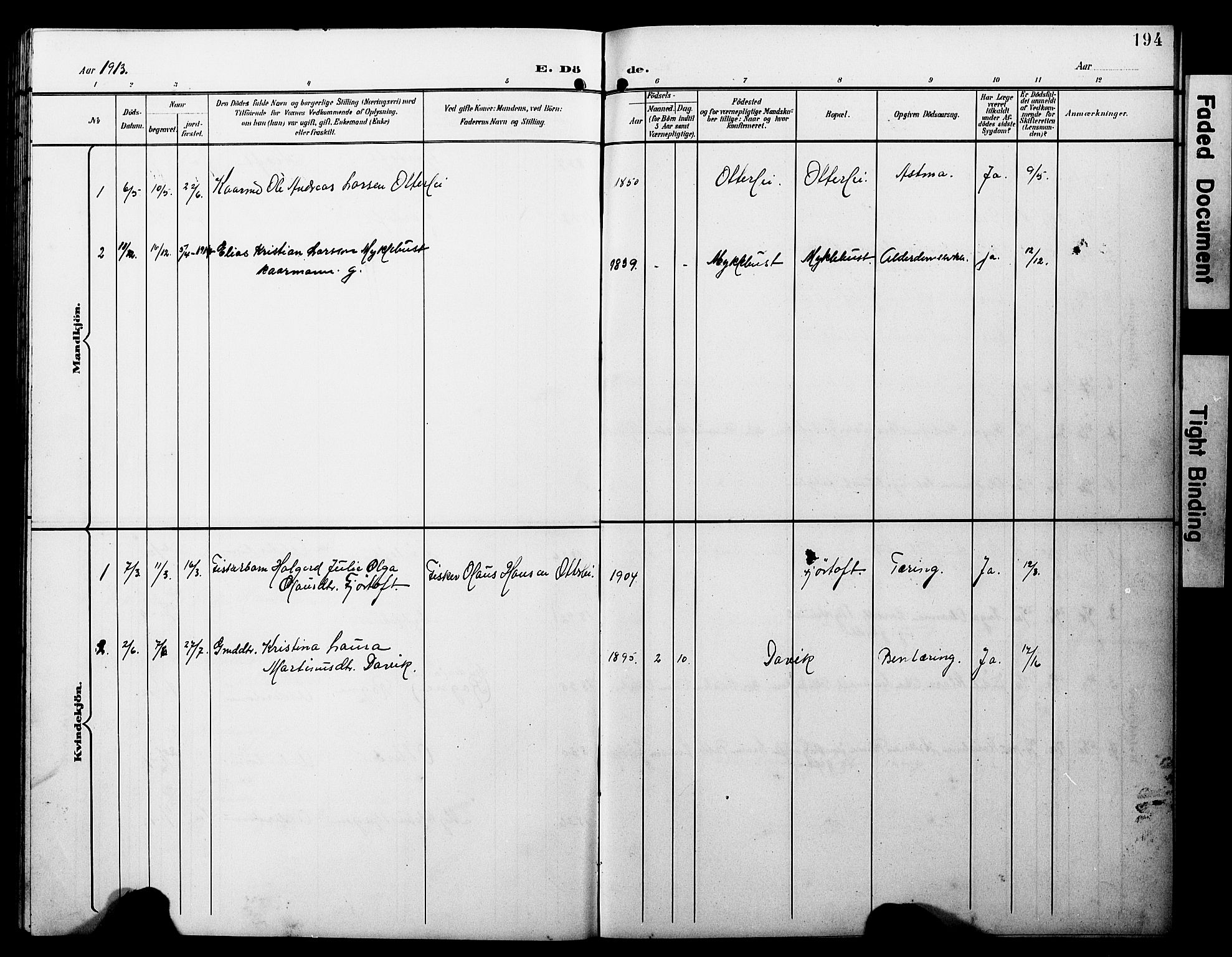 Ministerialprotokoller, klokkerbøker og fødselsregistre - Møre og Romsdal, AV/SAT-A-1454/538/L0524: Parish register (copy) no. 538C02, 1901-1931, p. 194