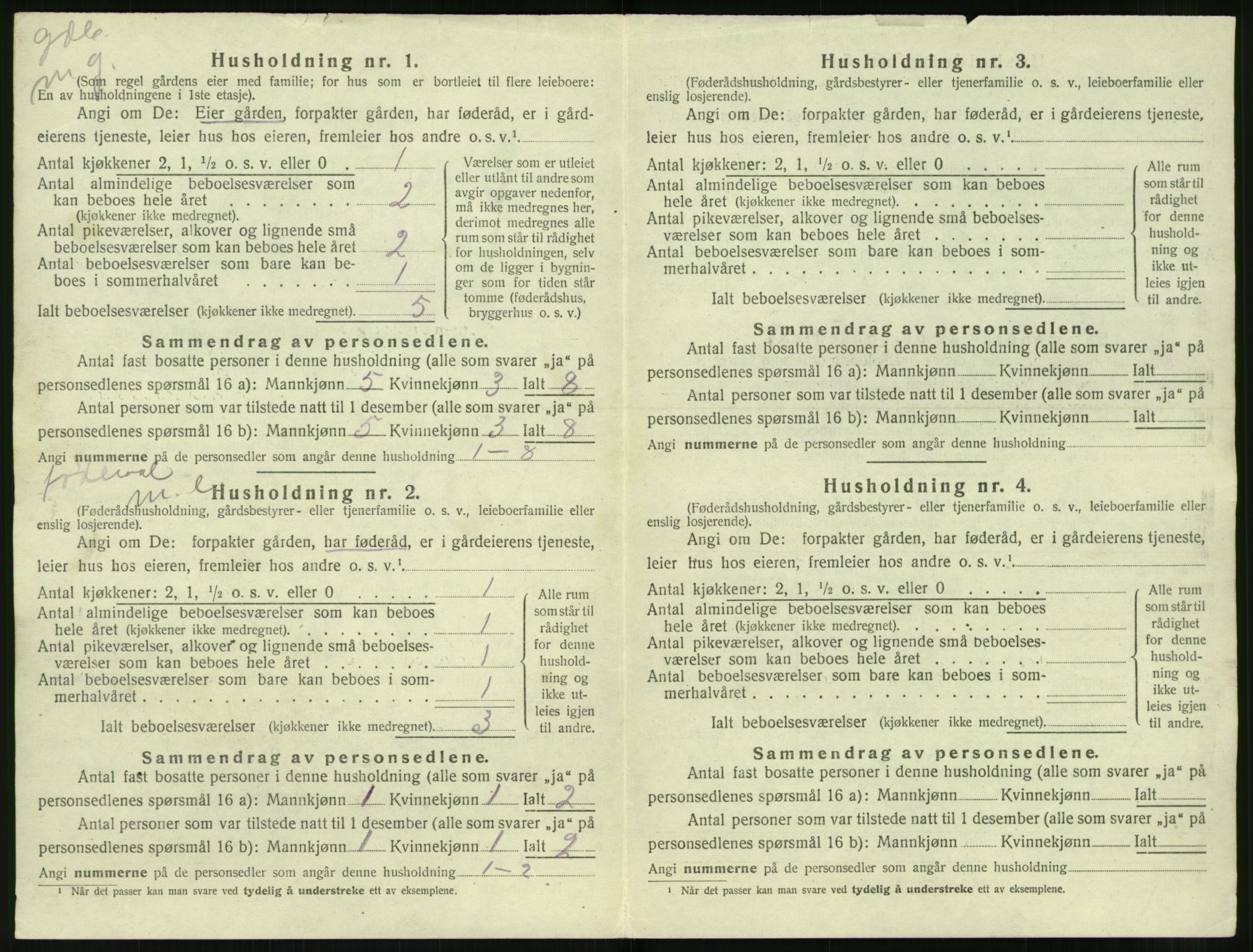 SAT, 1920 census for Volda, 1920, p. 1869