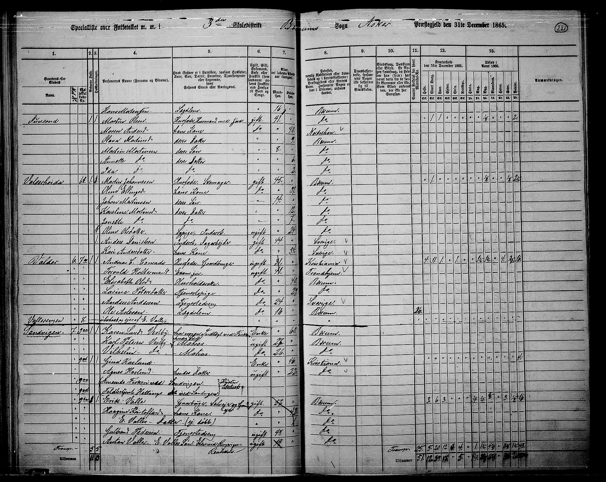 RA, 1865 census for Asker, 1865, p. 213