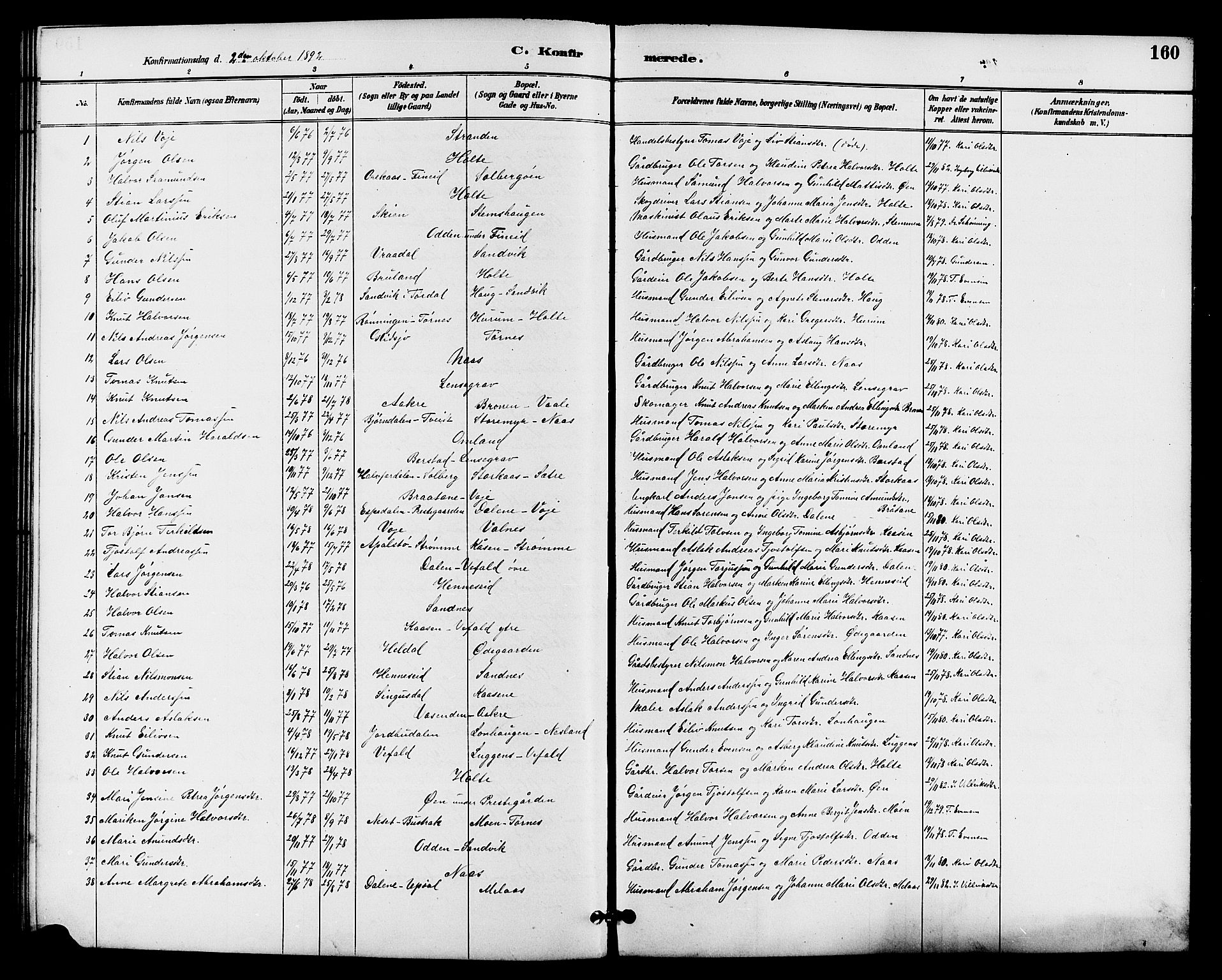 Drangedal kirkebøker, SAKO/A-258/G/Ga/L0003: Parish register (copy) no. I 3, 1887-1906, p. 160
