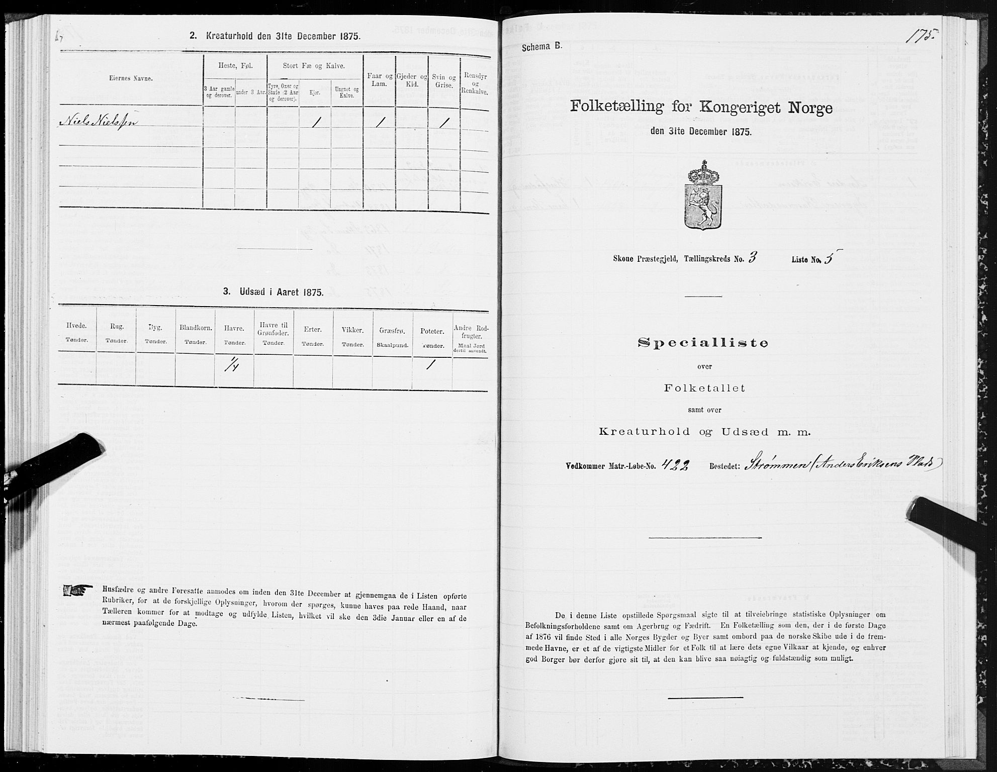 SAT, 1875 census for 1529P Skodje, 1875, p. 1175