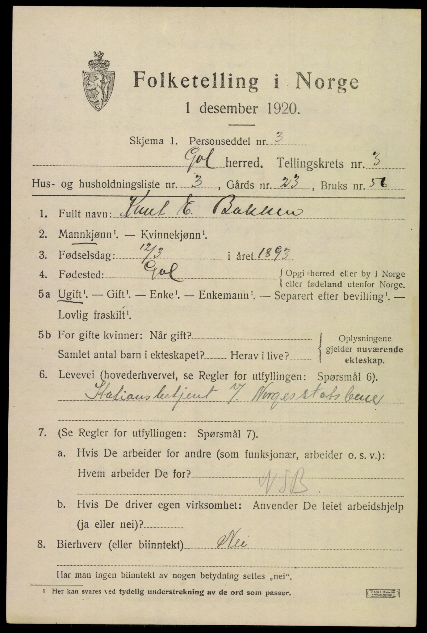 SAKO, 1920 census for Gol, 1920, p. 2214