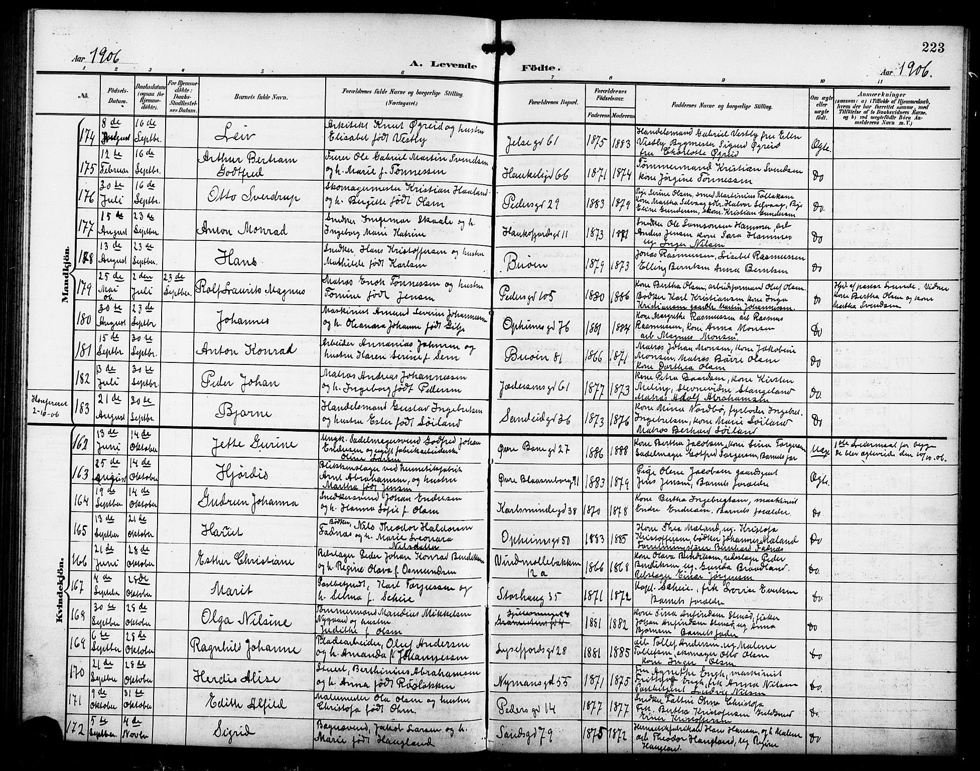 St. Johannes sokneprestkontor, AV/SAST-A-101814/001/30/30BB/L0004: Parish register (copy) no. B 4, 1900-1907, p. 223