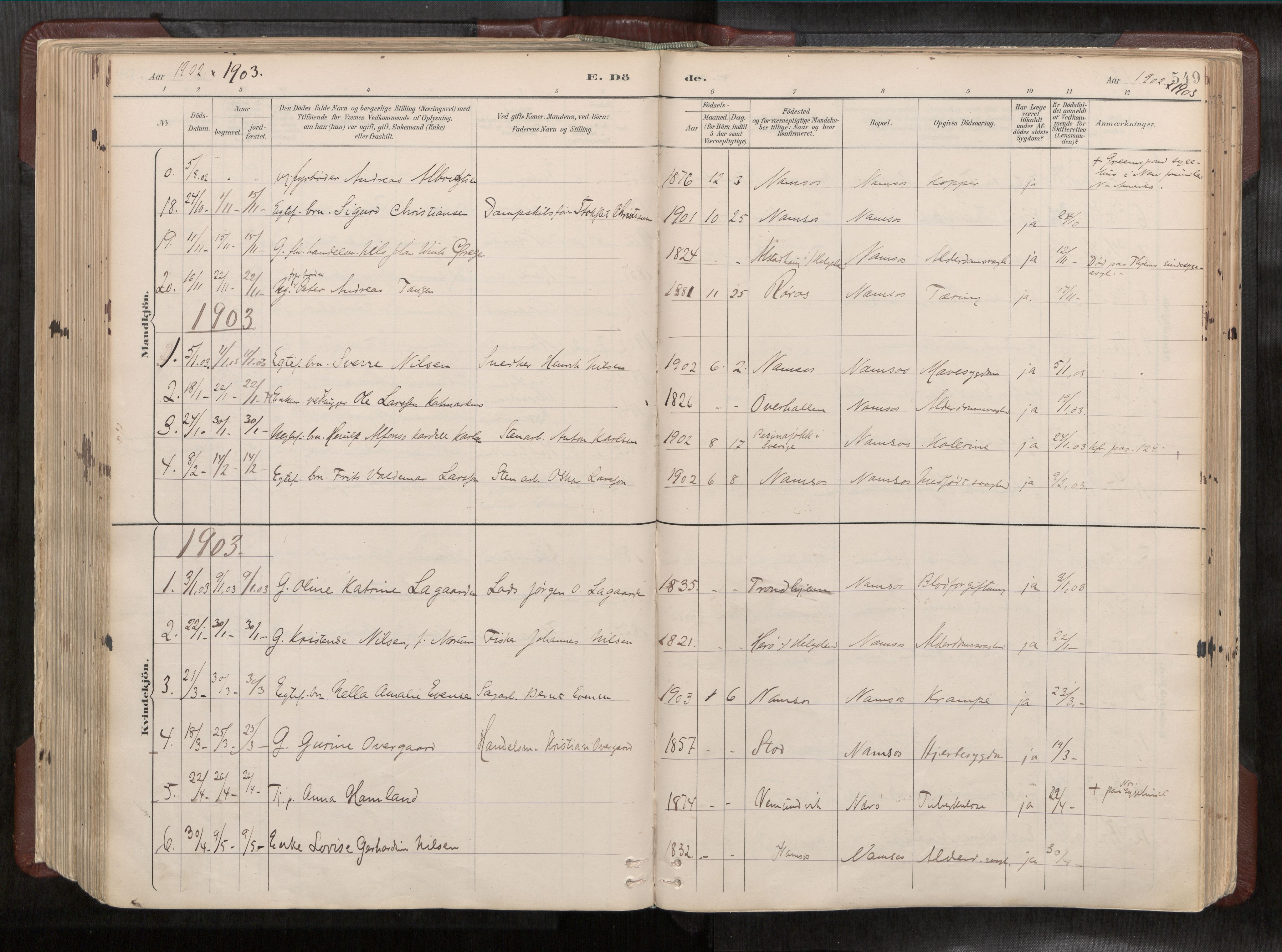 Ministerialprotokoller, klokkerbøker og fødselsregistre - Nord-Trøndelag, SAT/A-1458/768/L0579a: Parish register (official) no. 768A14, 1887-1931, p. 549