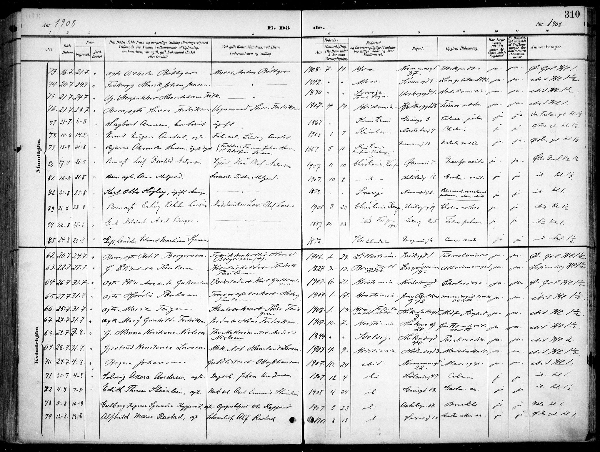 Kampen prestekontor Kirkebøker, SAO/A-10853/F/Fa/L0009: Parish register (official) no. I 9, 1899-1911, p. 310