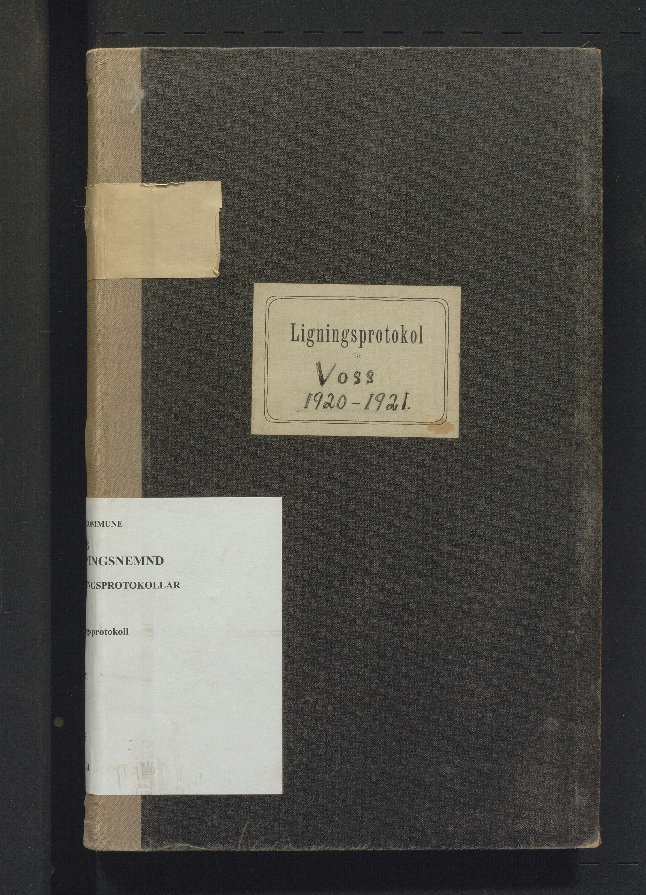 Voss kommune. Likningsnemnda, IKAH/1235-142/F/Fa/L0030: Likningsprotokoll, 1920-1921