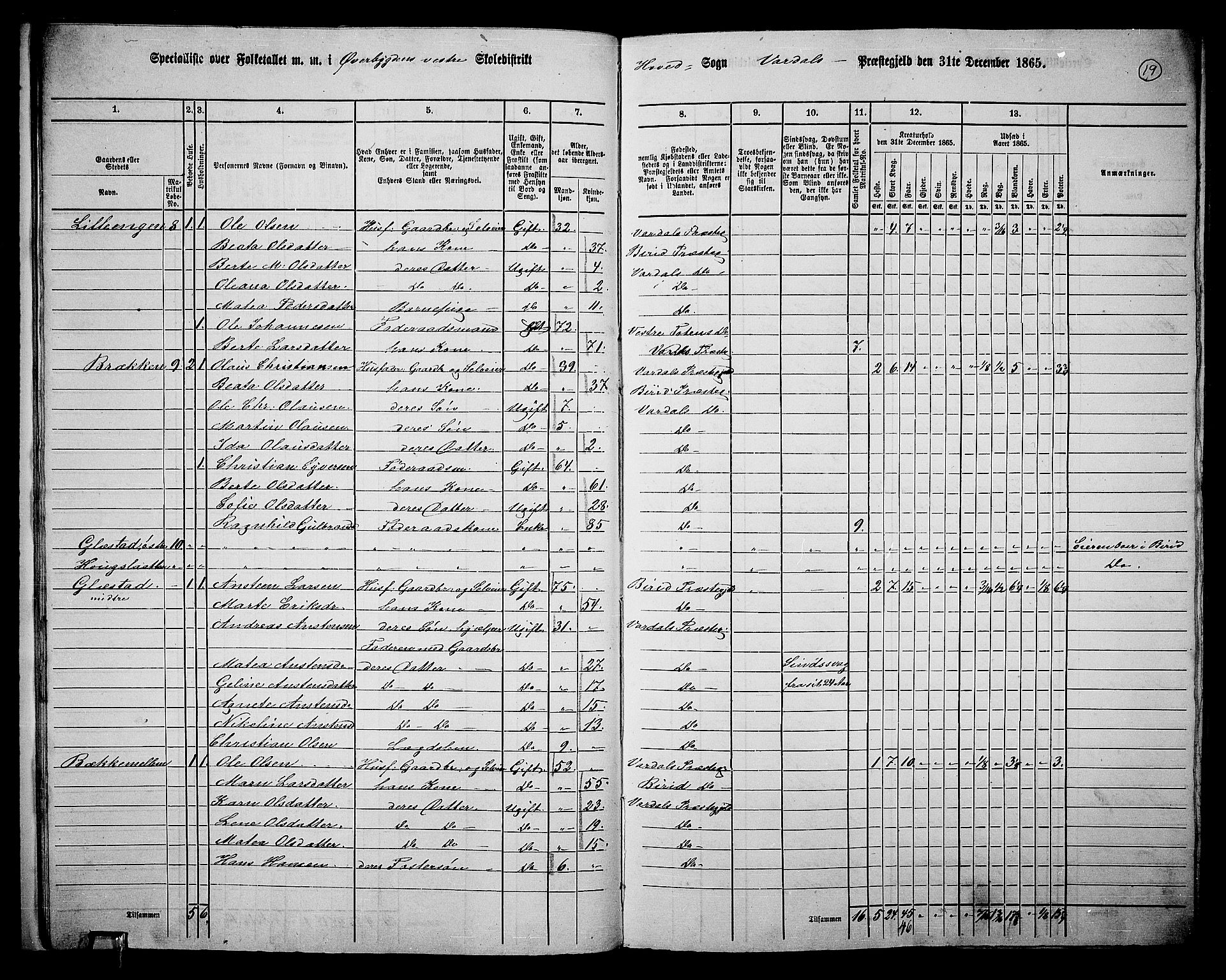 RA, 1865 census for Vardal/Vardal og Hunn, 1865, p. 17