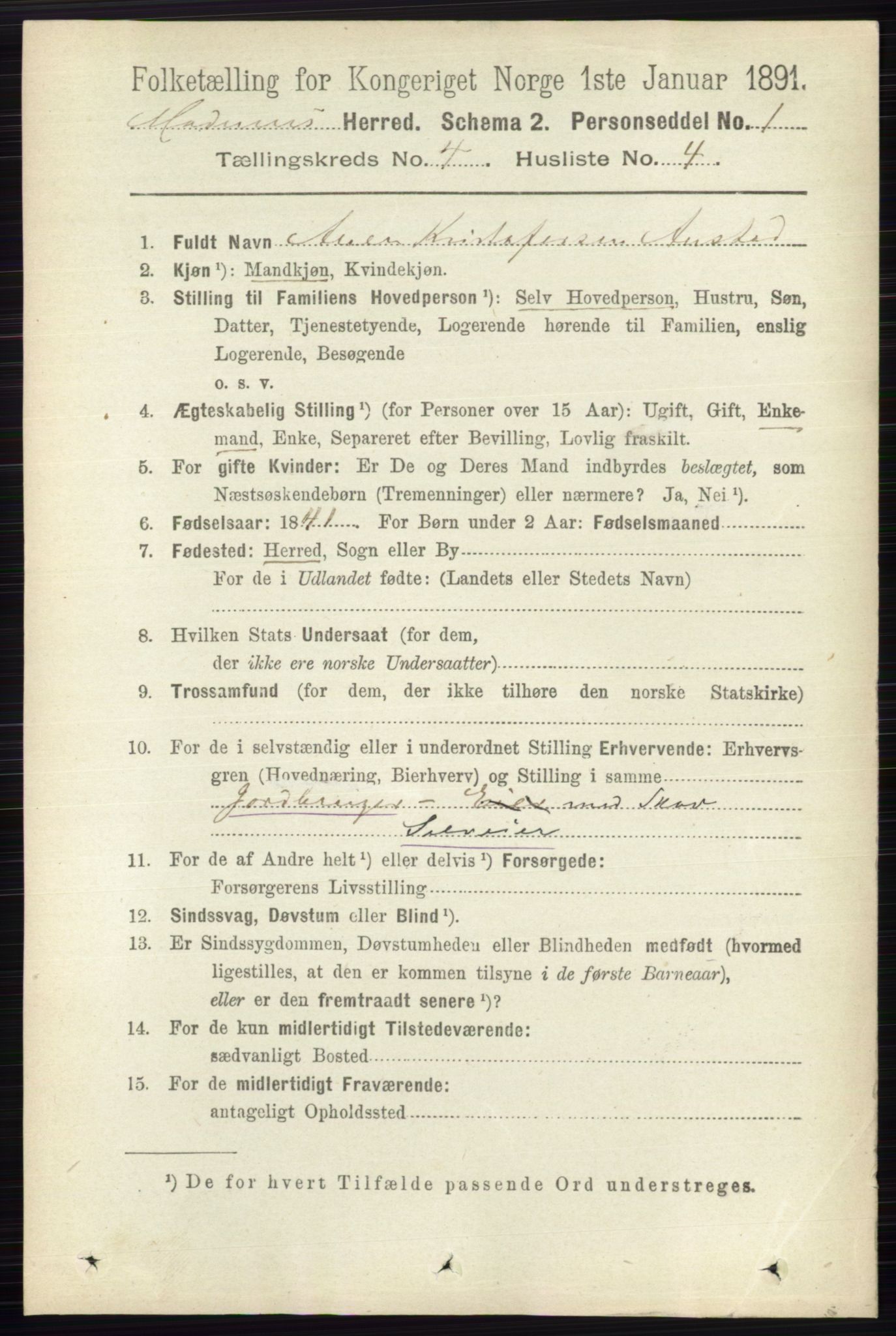 RA, 1891 census for 0623 Modum, 1891, p. 1006