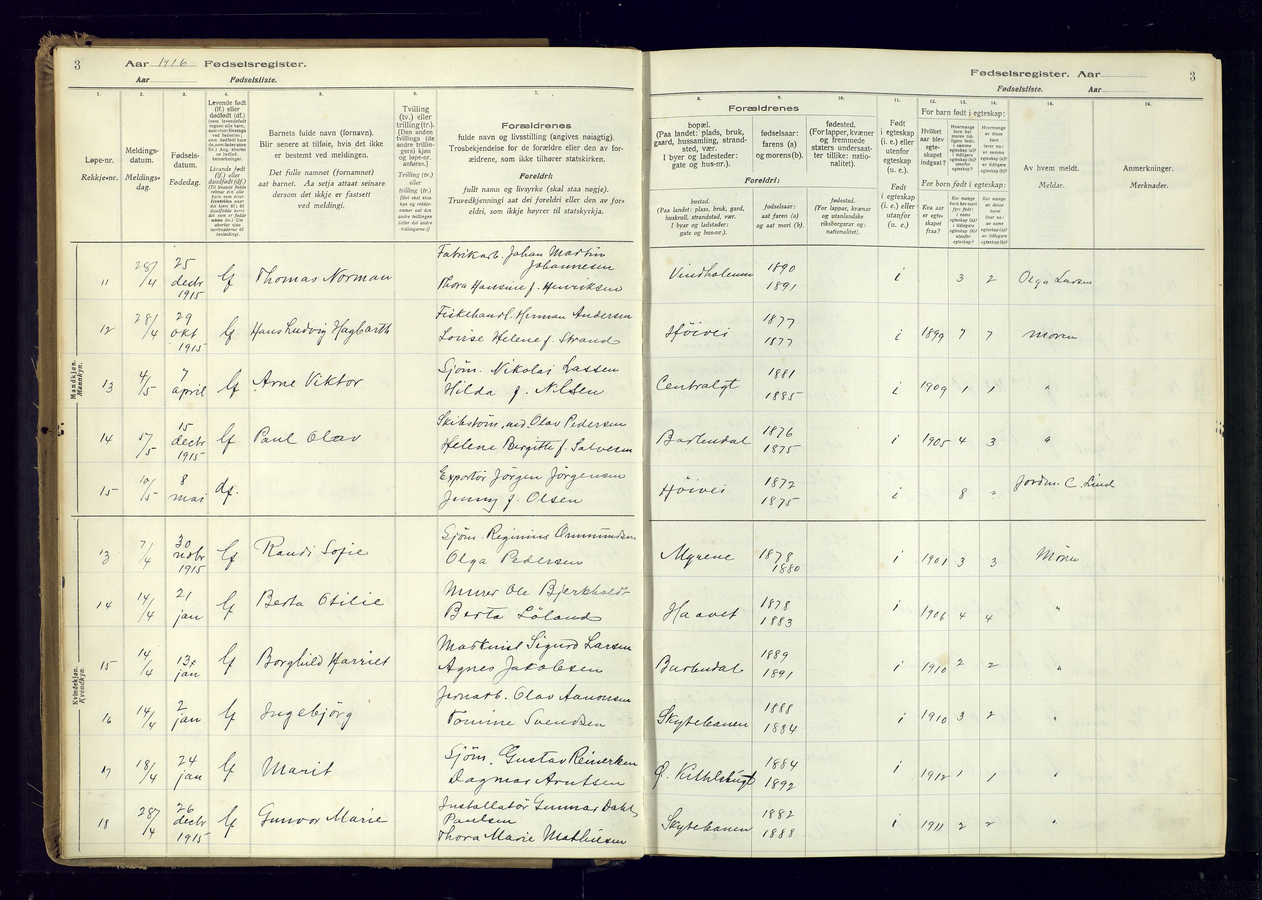 Barbu sokneprestkontor, AV/SAK-1111-0003/J/Ja/L0001: Birth register no. A-VIII-1, 1916-1937, p. 3
