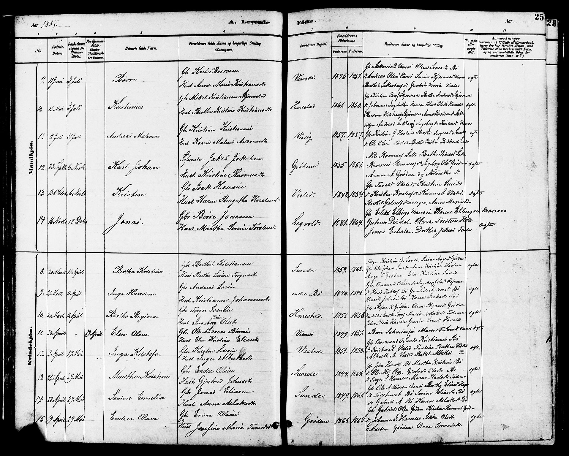 Hetland sokneprestkontor, SAST/A-101826/30/30BB/L0006: Parish register (copy) no. B 6, 1878-1921, p. 25