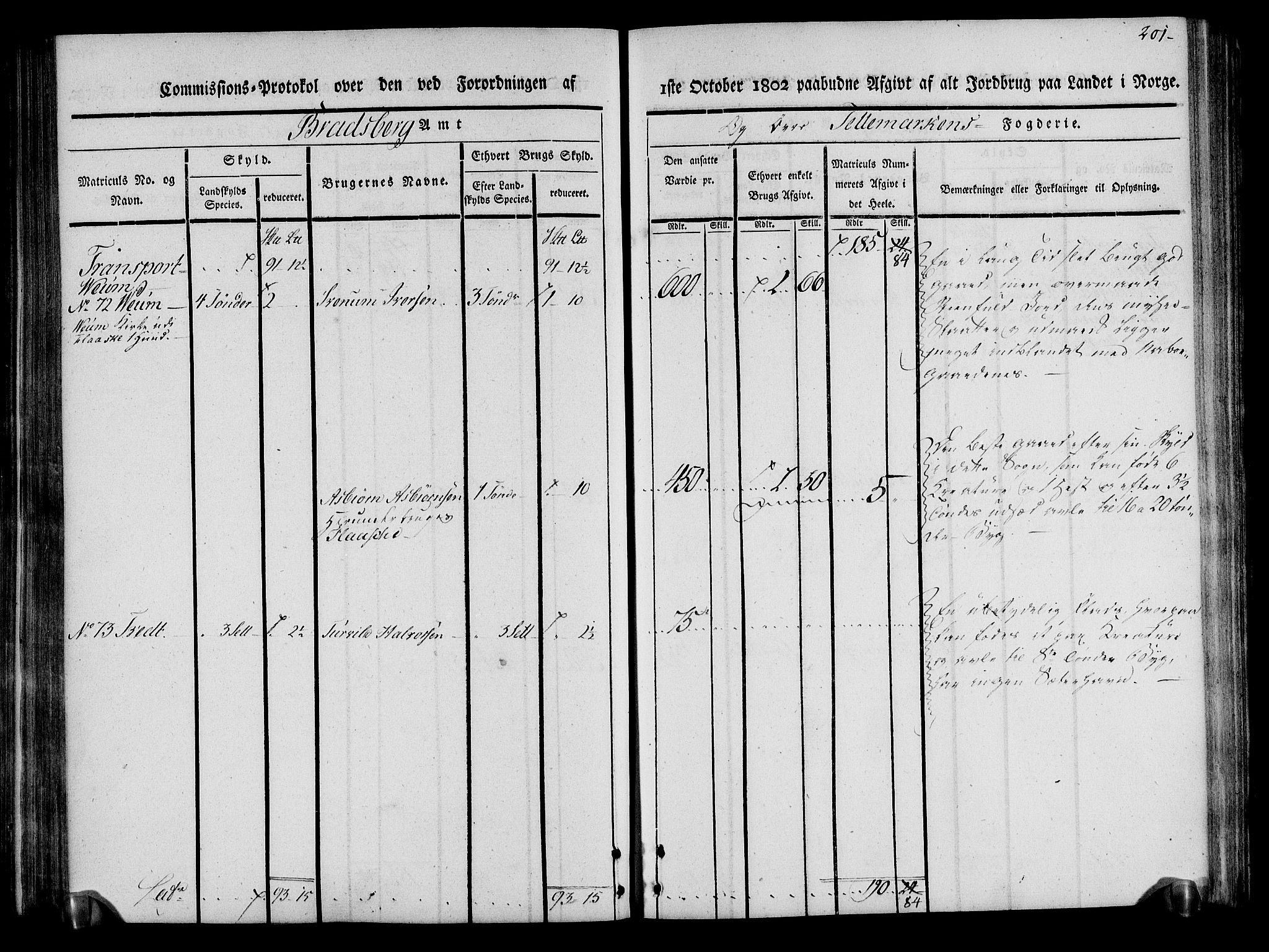 Rentekammeret inntil 1814, Realistisk ordnet avdeling, AV/RA-EA-4070/N/Ne/Nea/L0075: Øvre Telemarken fogderi. Kommisjonsprotokoll for fogderiets vestre del - Kviteseid, Vinje, Moland [):Fyresdal] og Lårdal prestegjeld., 1803, p. 203