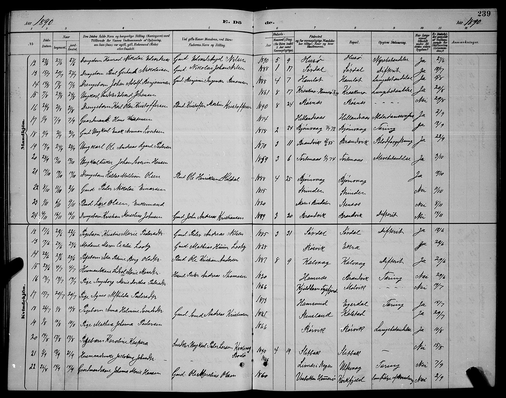 Ministerialprotokoller, klokkerbøker og fødselsregistre - Nordland, SAT/A-1459/859/L0859: Parish register (copy) no. 859C05, 1887-1898, p. 239
