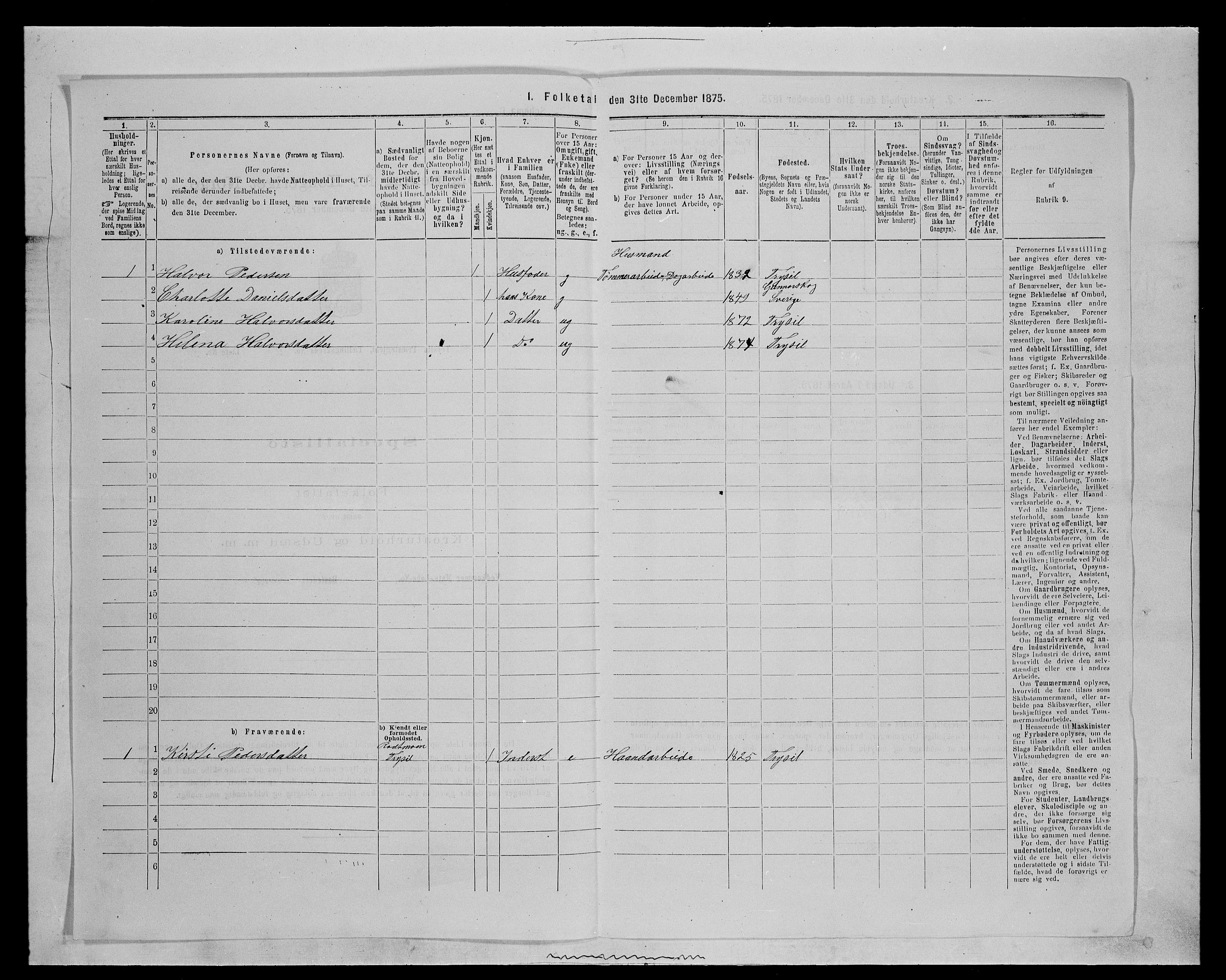 SAH, 1875 census for 0428P Trysil, 1875, p. 1138