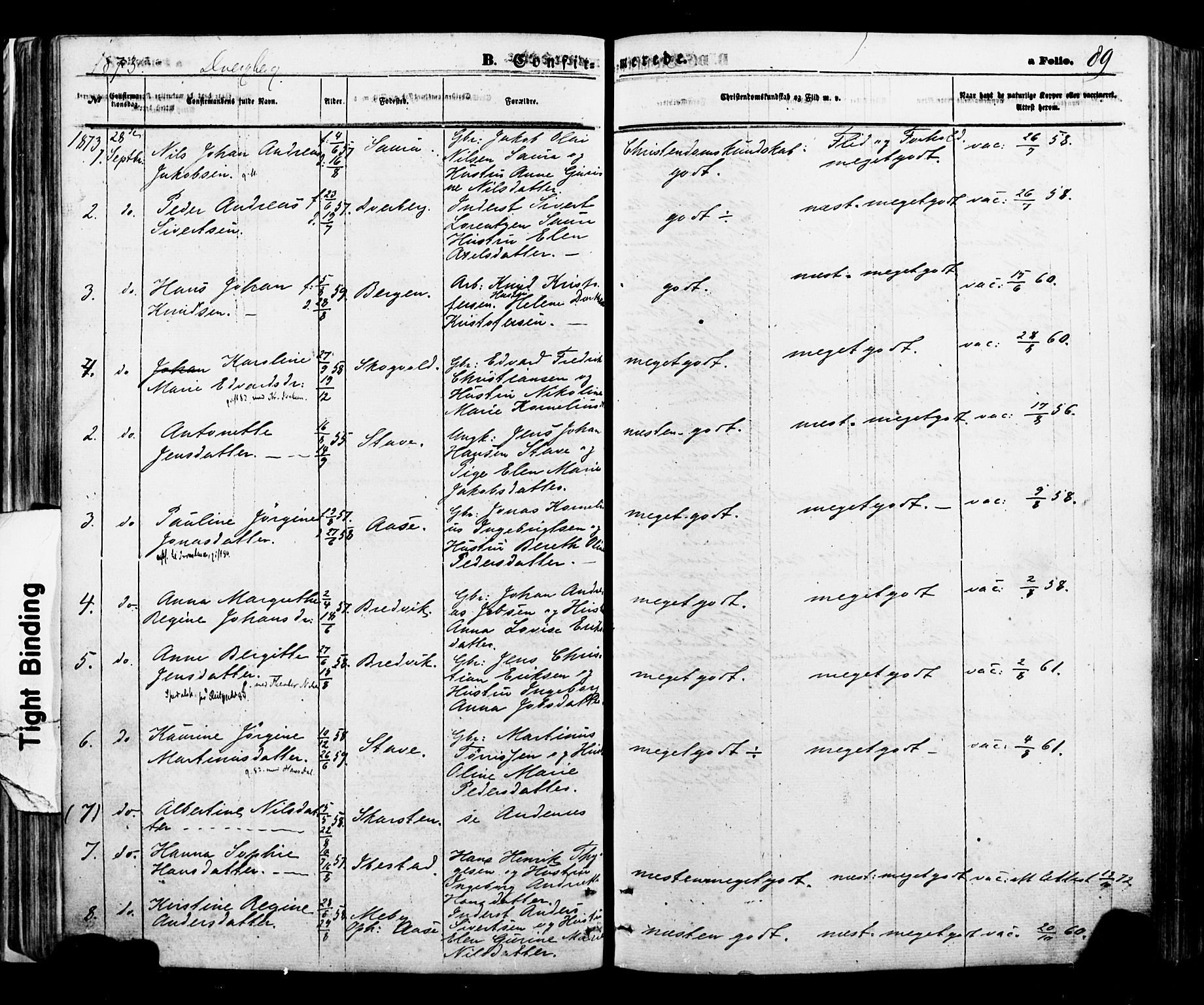 Ministerialprotokoller, klokkerbøker og fødselsregistre - Nordland, AV/SAT-A-1459/897/L1397: Parish register (official) no. 897A05 /1, 1867-1880, p. 89