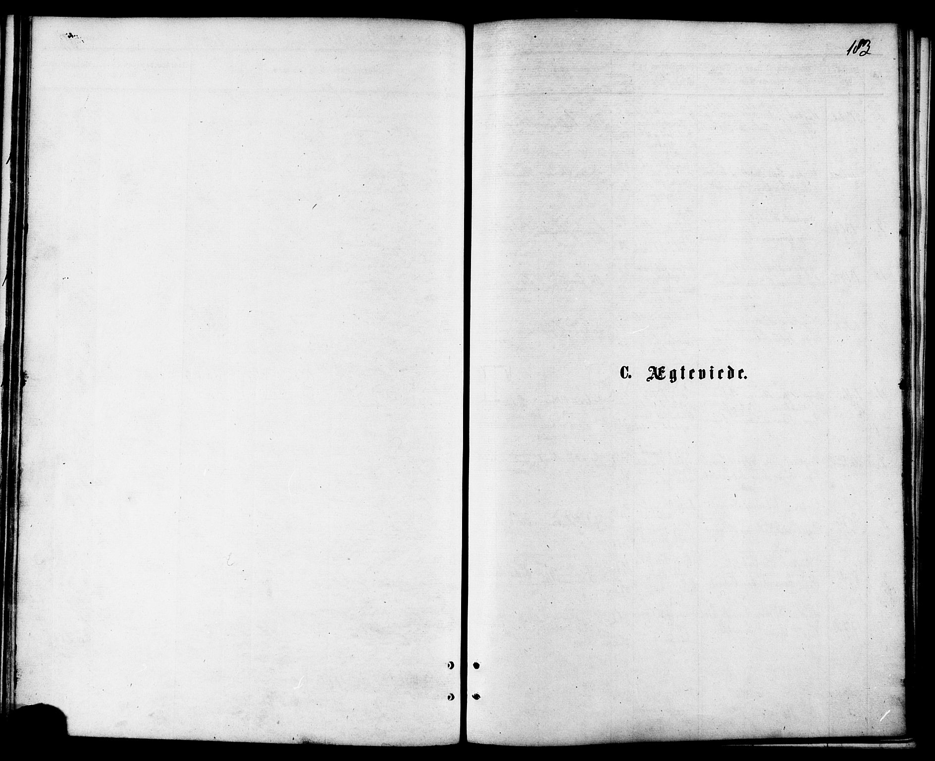 Ministerialprotokoller, klokkerbøker og fødselsregistre - Nordland, SAT/A-1459/810/L0148: Parish register (official) no. 810A09 /1, 1874-1884, p. 183