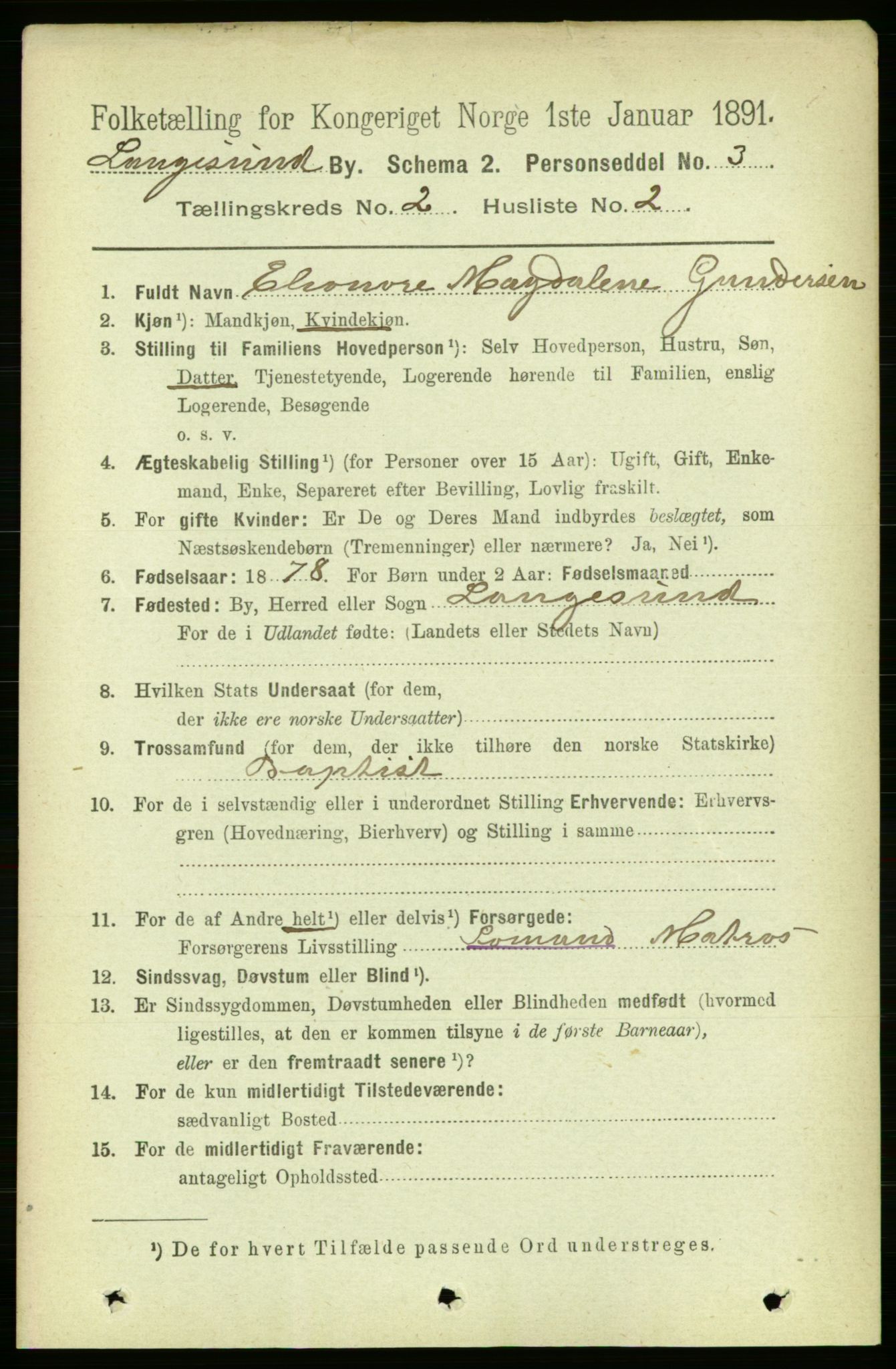 RA, 1891 census for 0802 Langesund, 1891, p. 717