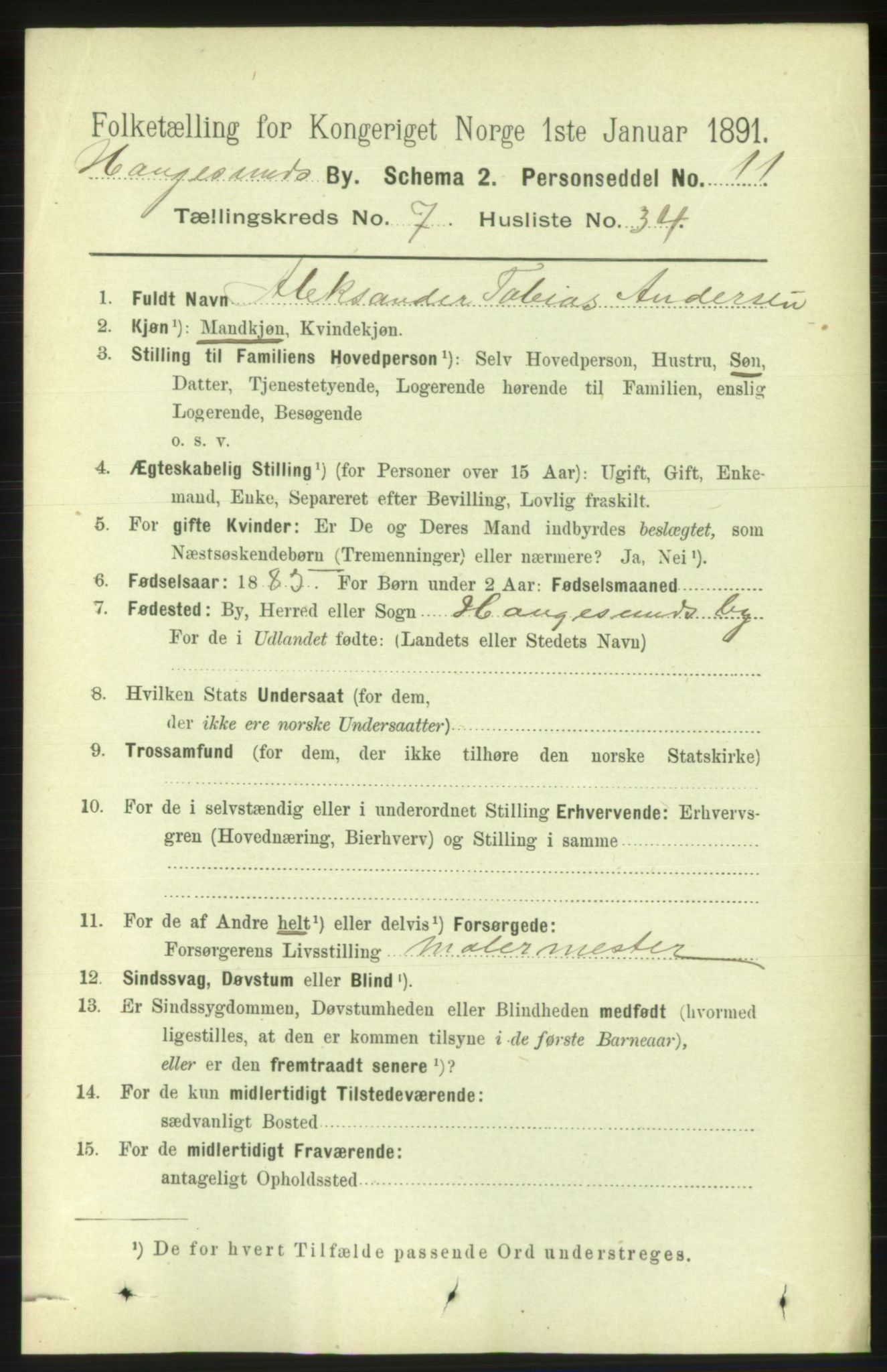 RA, 1891 census for 1106 Haugesund, 1891, p. 3473