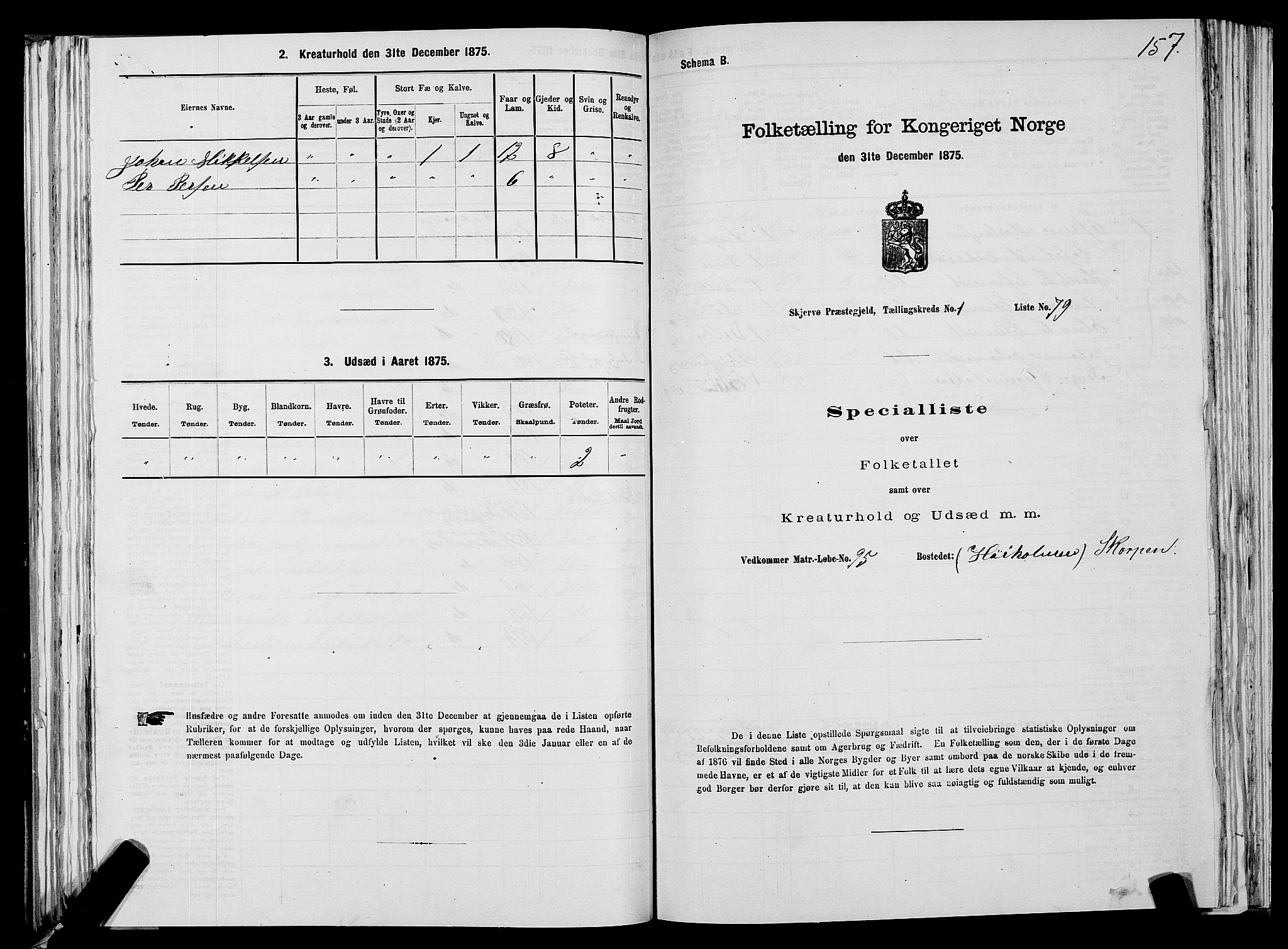 SATØ, 1875 census for 1941P Skjervøy, 1875, p. 1157