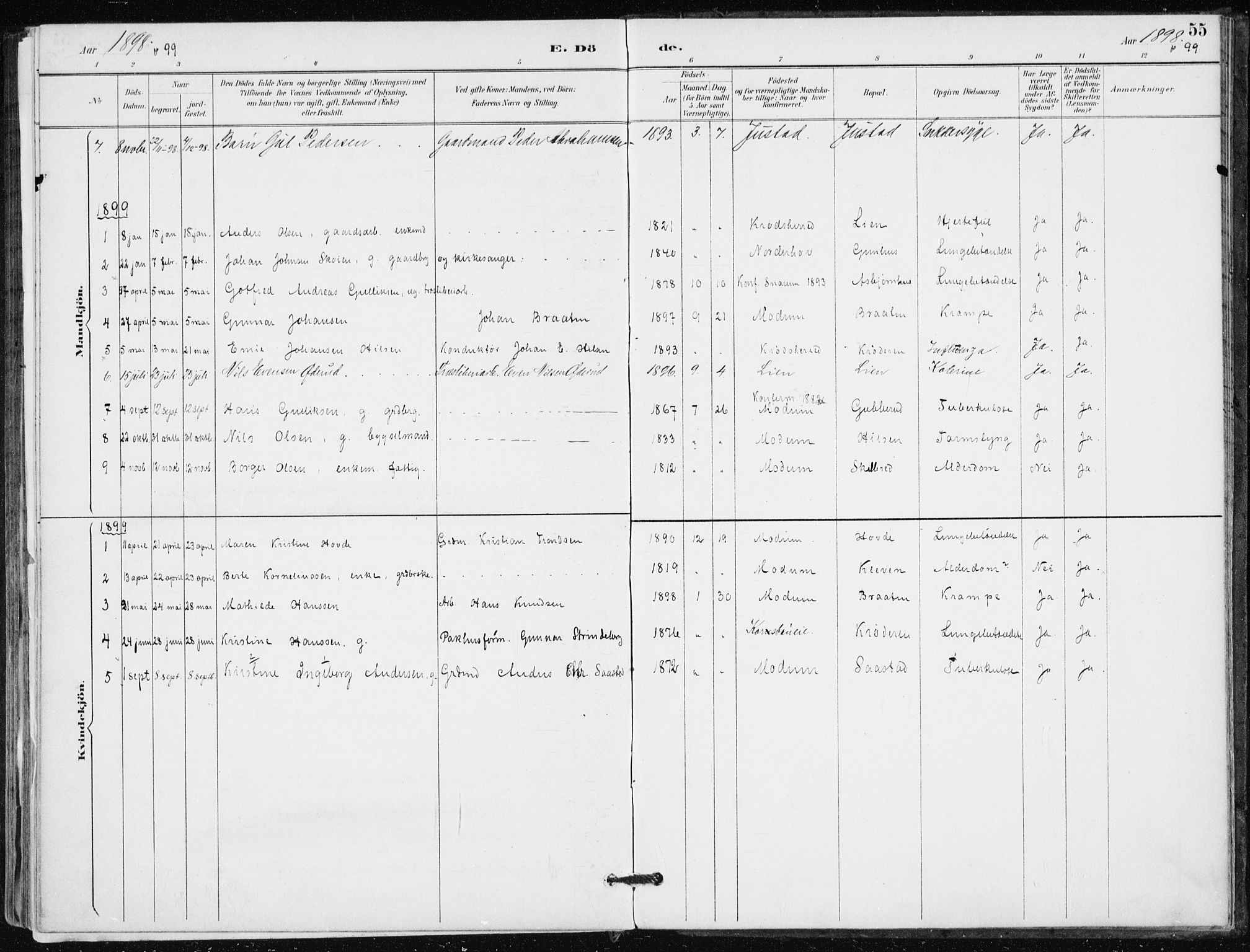 Modum kirkebøker, SAKO/A-234/F/Fa/L0016: Parish register (official) no. 16, 1890-1899, p. 55