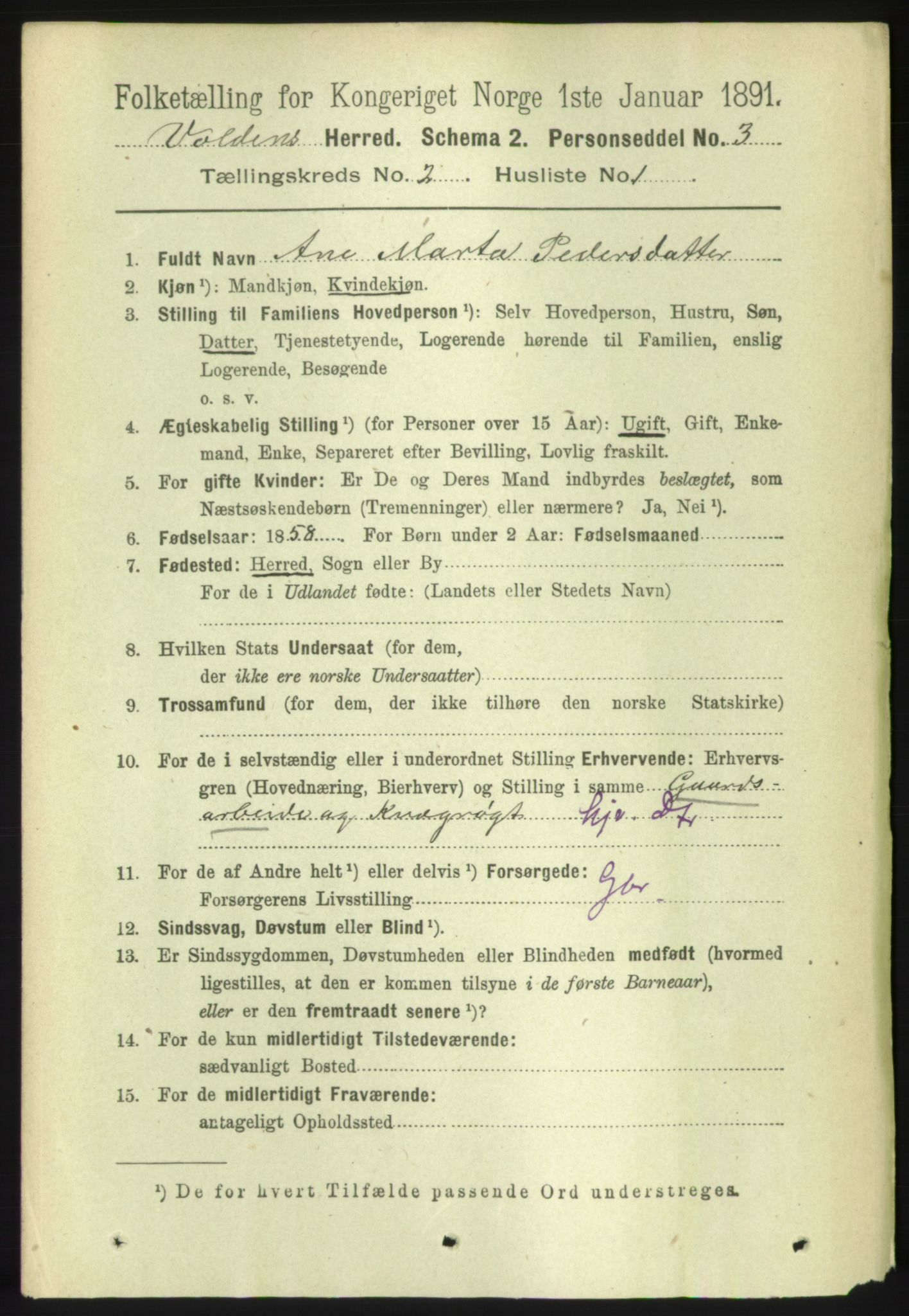 RA, 1891 census for 1519 Volda, 1891, p. 741