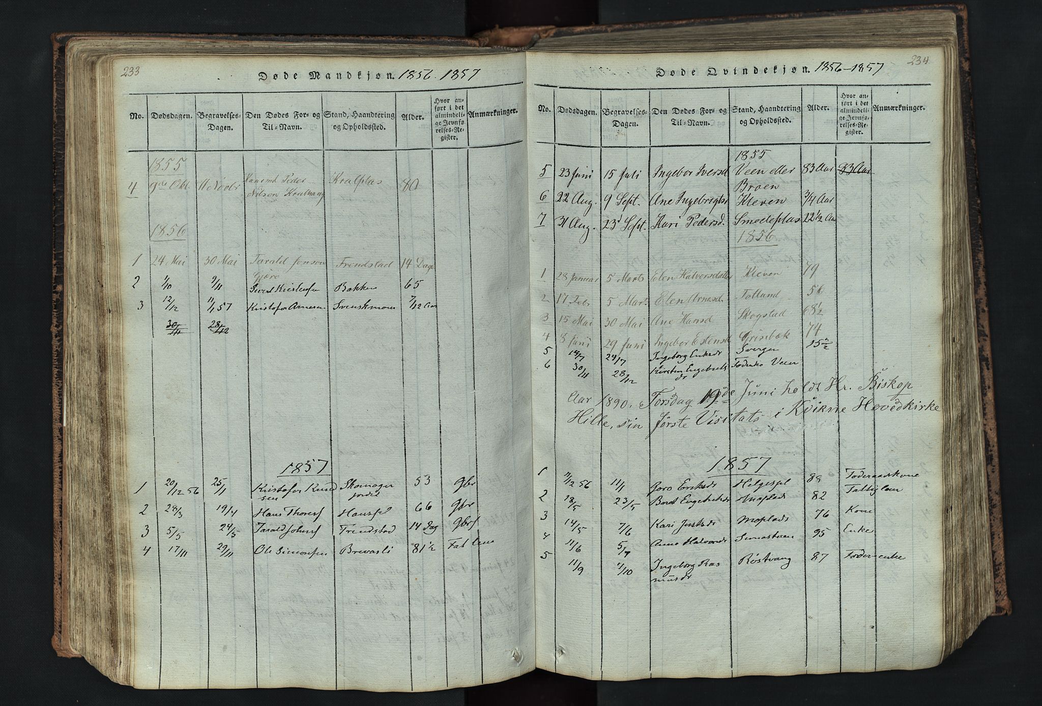 Kvikne prestekontor, SAH/PREST-064/H/Ha/Hab/L0001: Parish register (copy) no. 1, 1815-1895, p. 233-234