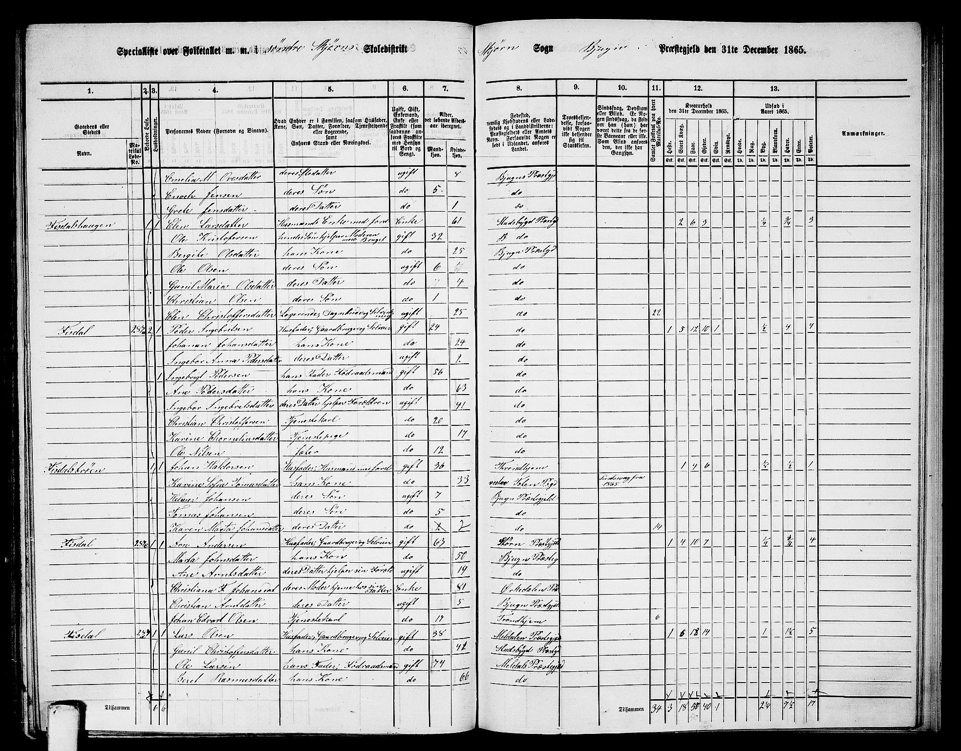 RA, 1865 census for Bjugn, 1865, p. 131