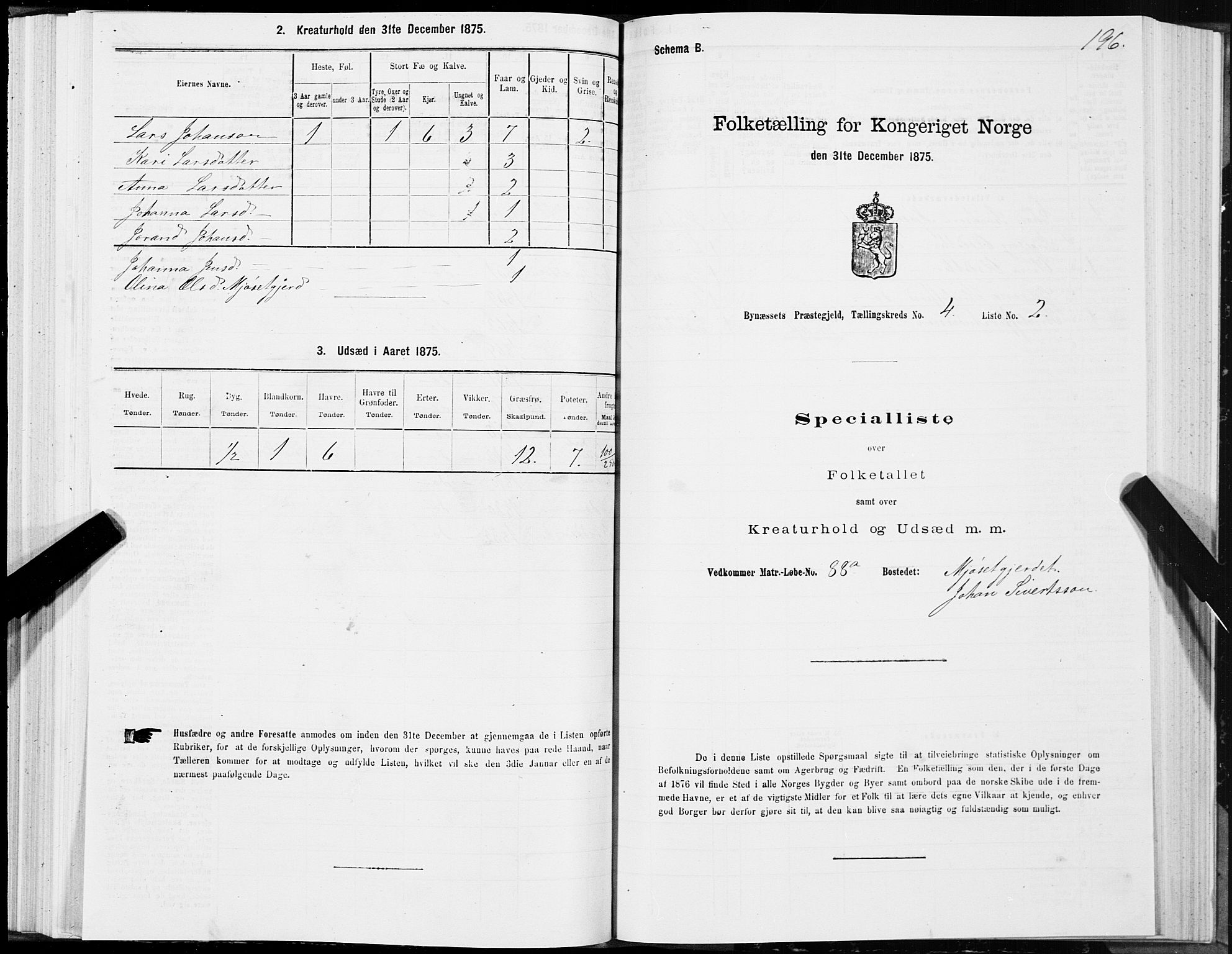 SAT, 1875 census for 1655P Byneset, 1875, p. 2196