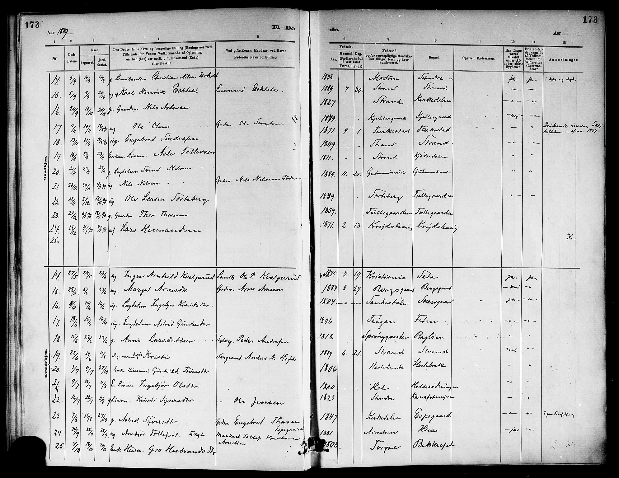 Ål kirkebøker, SAKO/A-249/F/Fa/L0008: Parish register (official) no. I 8, 1882-1896, p. 173
