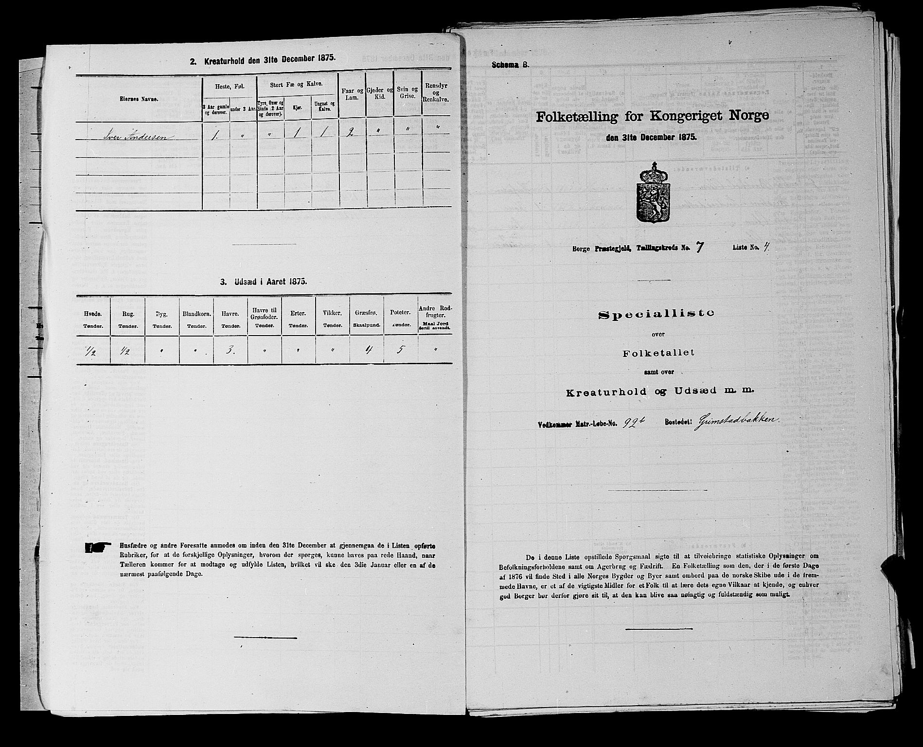 RA, 1875 census for 0113P Borge, 1875, p. 965