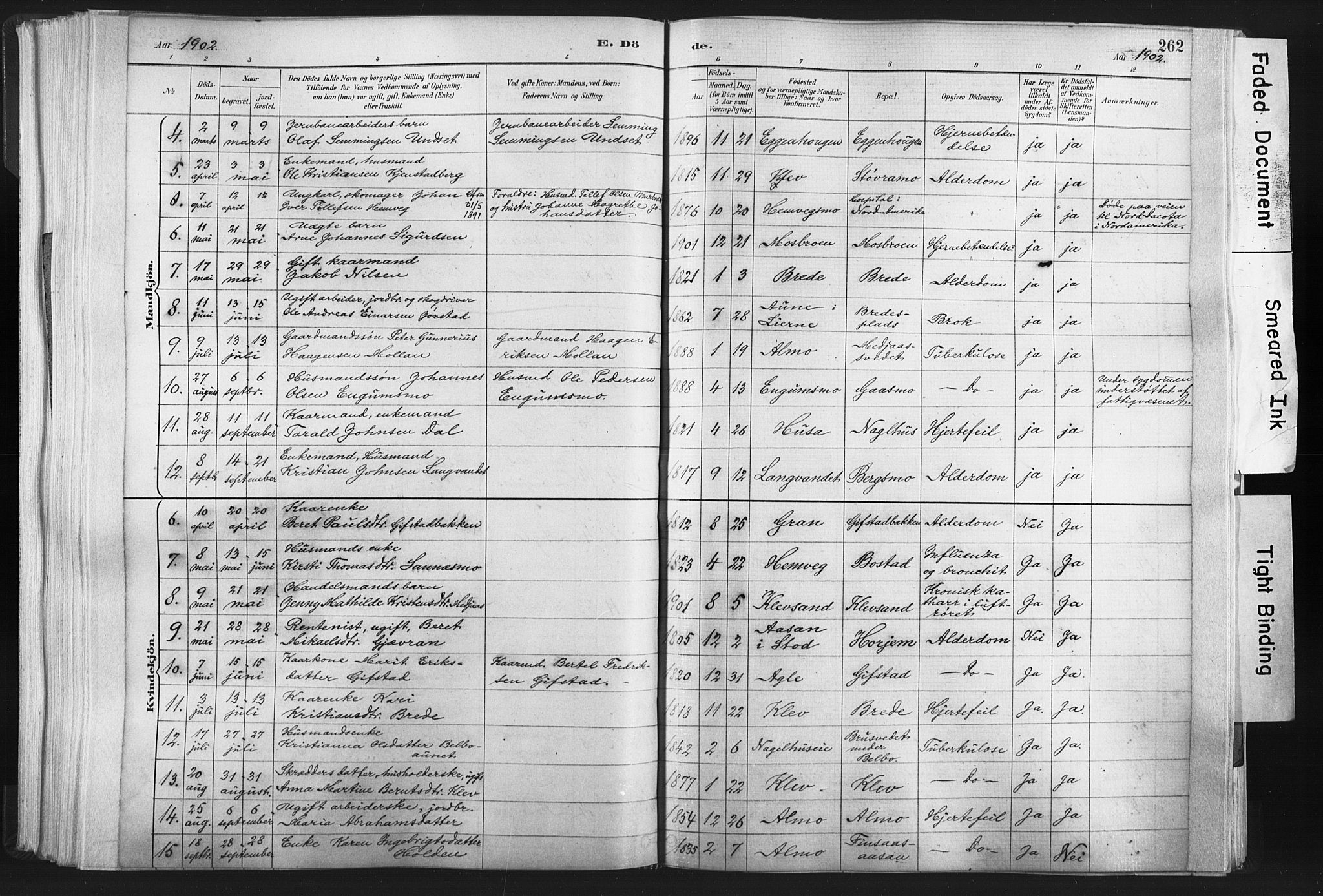 Ministerialprotokoller, klokkerbøker og fødselsregistre - Nord-Trøndelag, SAT/A-1458/749/L0474: Parish register (official) no. 749A08, 1887-1903, p. 262