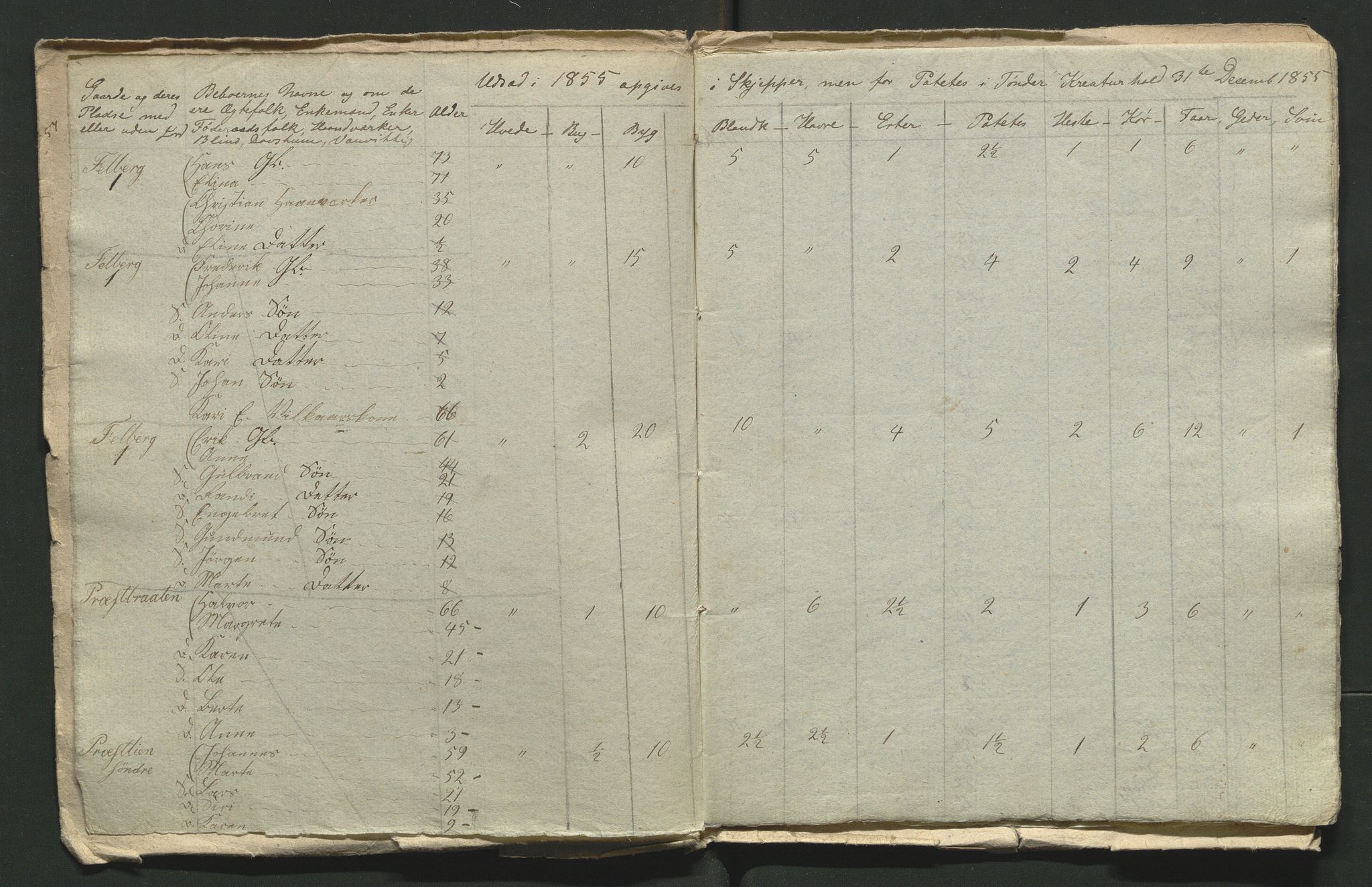 SAH, 1855 Census for Jevnaker parish, 1855, p. 2