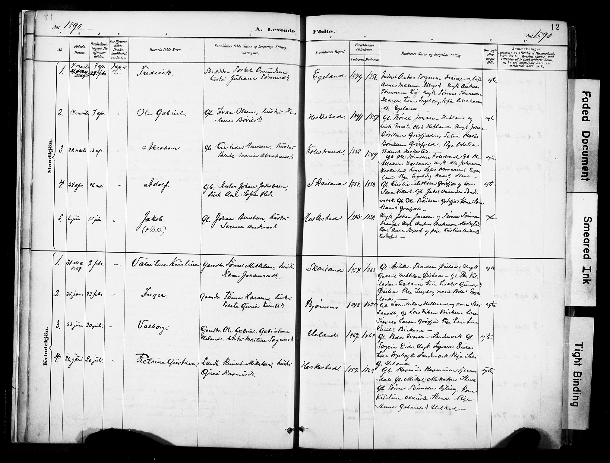 Lund sokneprestkontor, AV/SAST-A-101809/S06/L0012: Parish register (official) no. A 11, 1887-1921, p. 12