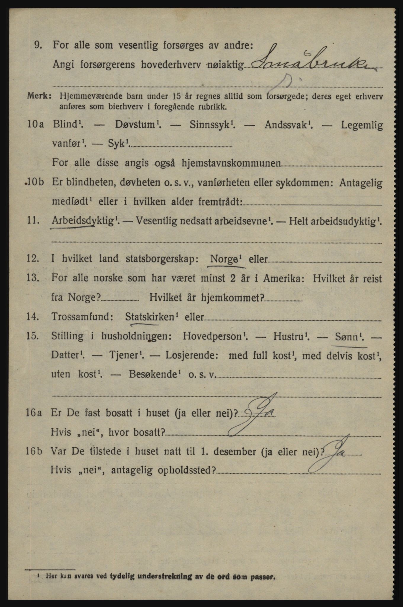 SAO, 1920 census for Skjeberg, 1920, p. 12980