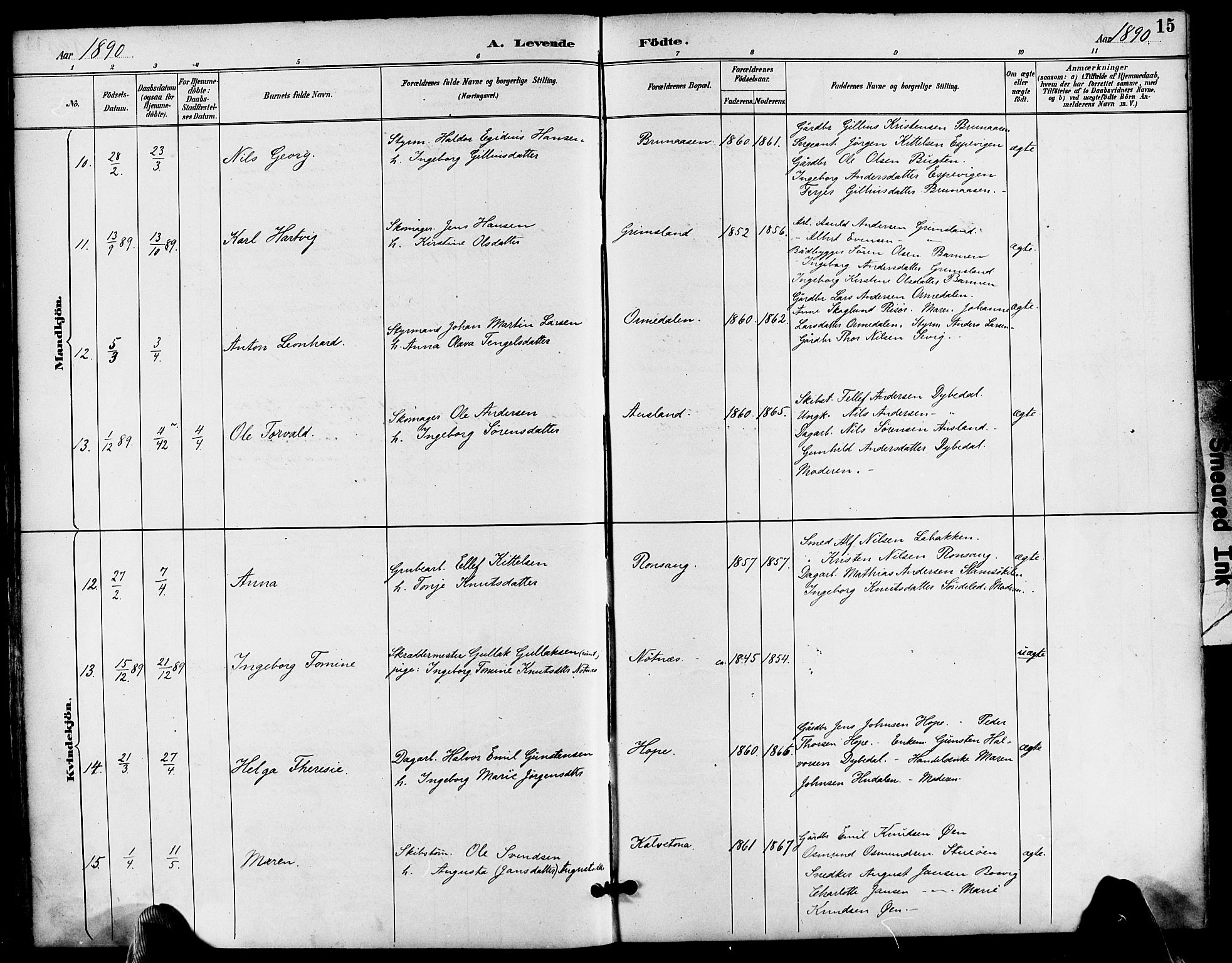 Søndeled sokneprestkontor, AV/SAK-1111-0038/F/Fa/L0005: Parish register (official) no. A 5, 1889-1899, p. 15