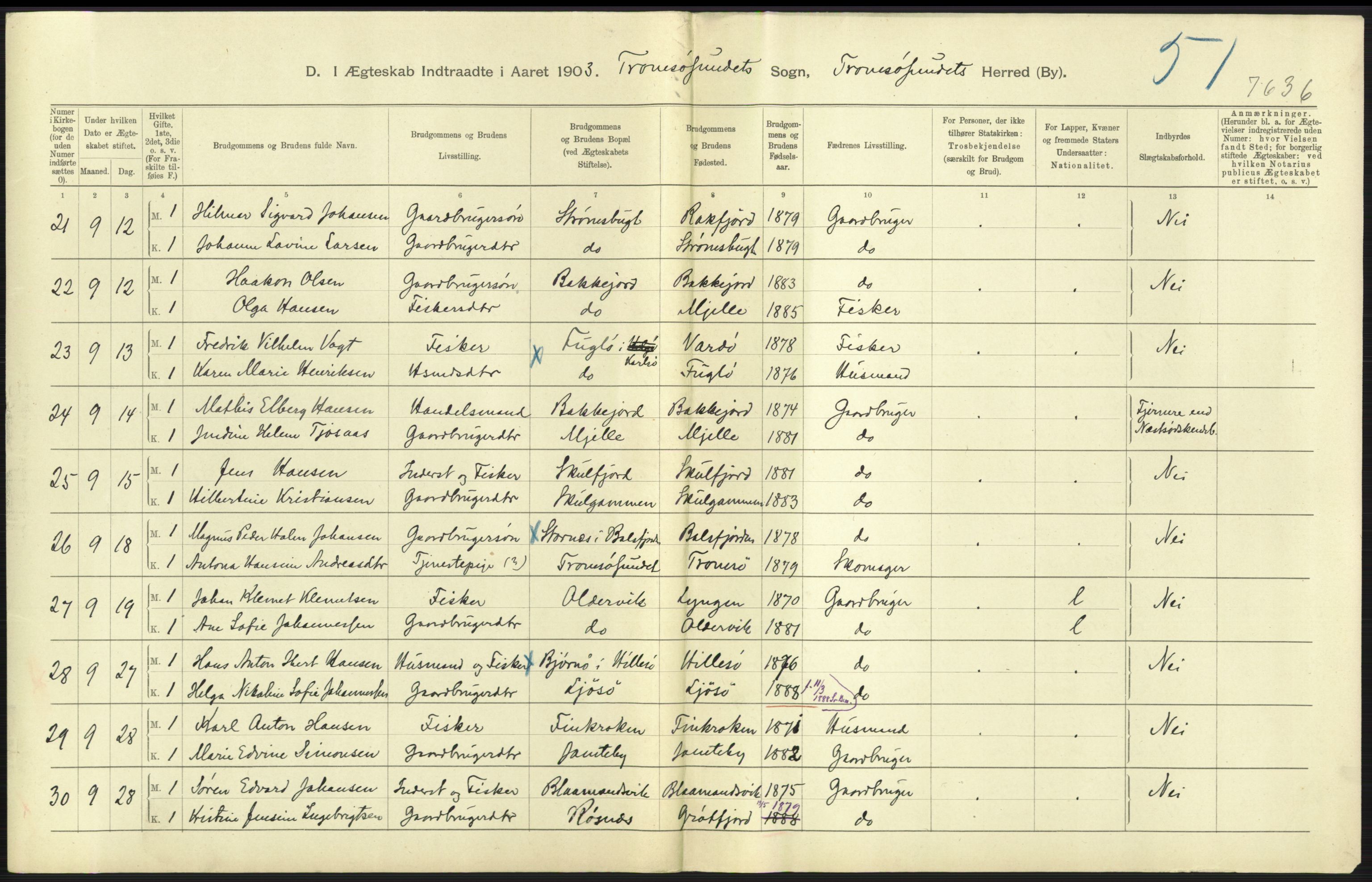 Statistisk sentralbyrå, Sosiodemografiske emner, Befolkning, AV/RA-S-2228/D/Df/Dfa/Dfaa/L0021: Tromsø amt: Fødte, gifte, døde., 1903, p. 305