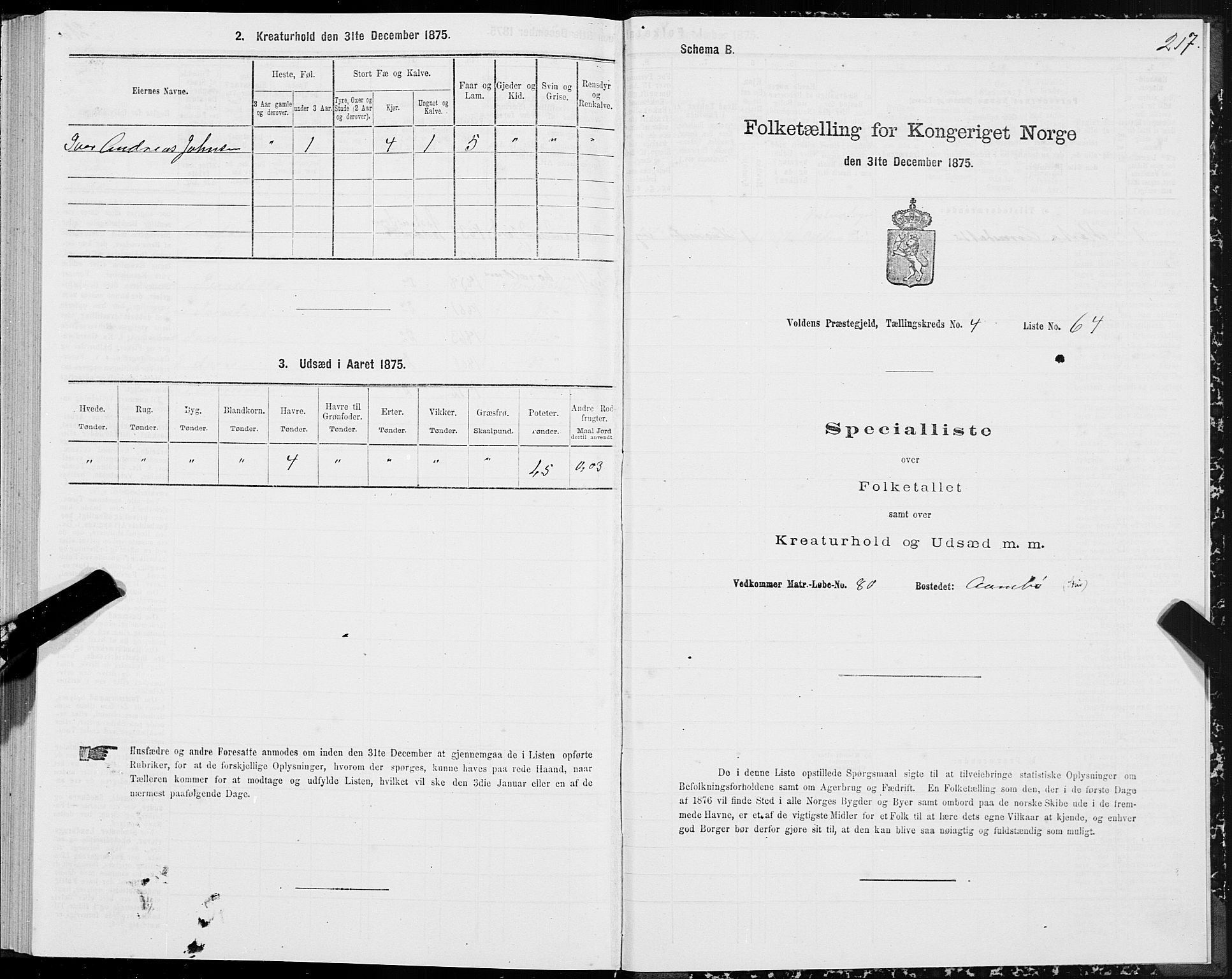 SAT, 1875 census for 1519P Volda, 1875, p. 3217