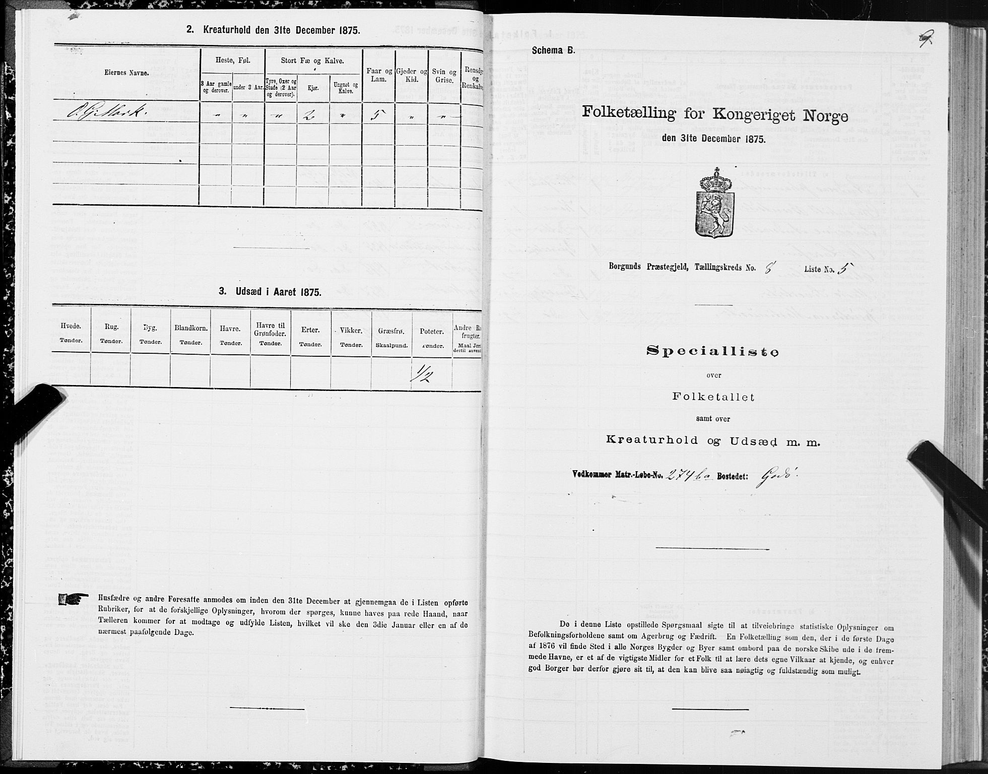 SAT, 1875 census for 1531P Borgund, 1875, p. 5009