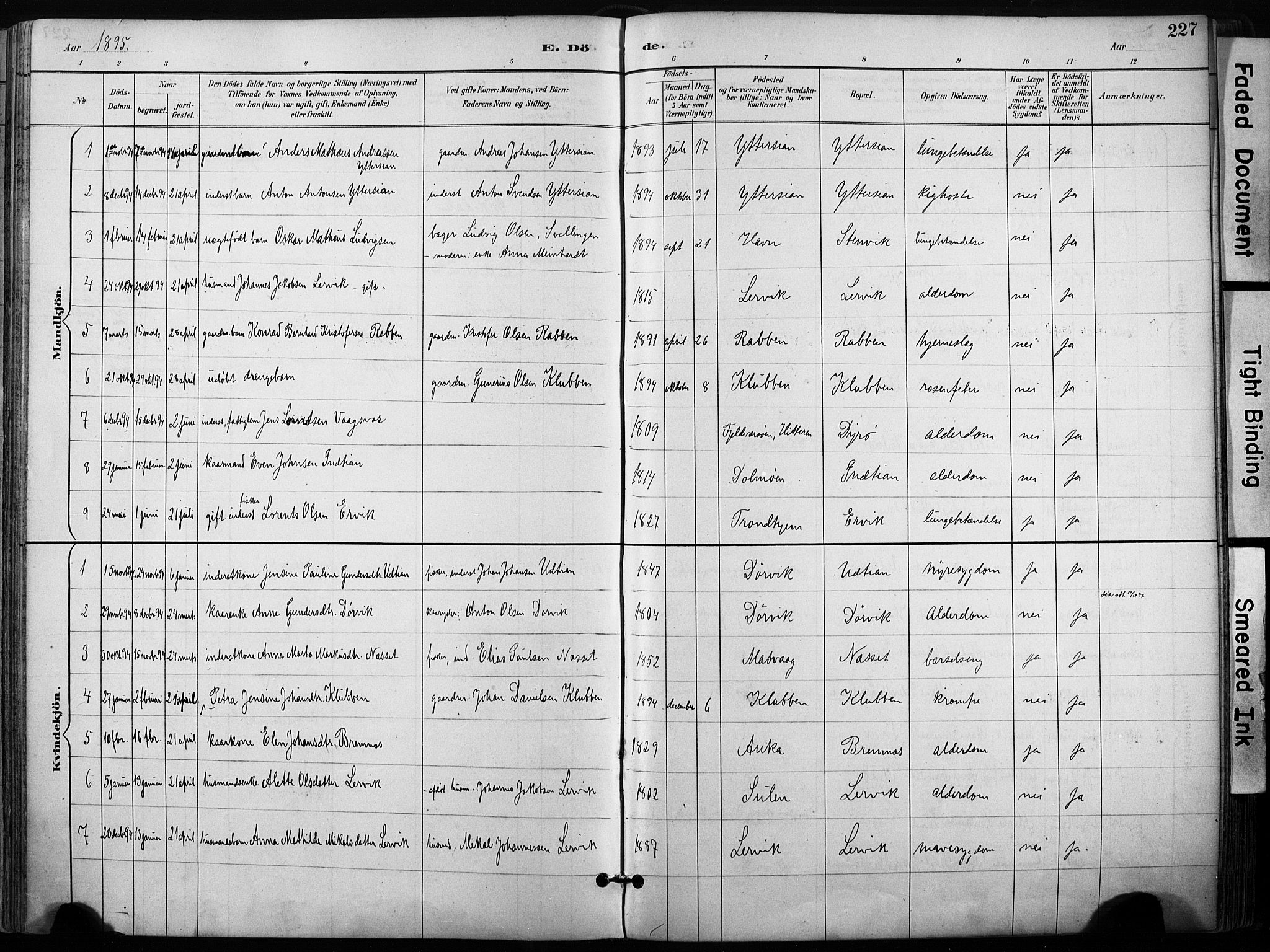 Ministerialprotokoller, klokkerbøker og fødselsregistre - Sør-Trøndelag, SAT/A-1456/640/L0579: Parish register (official) no. 640A04, 1889-1902, p. 227