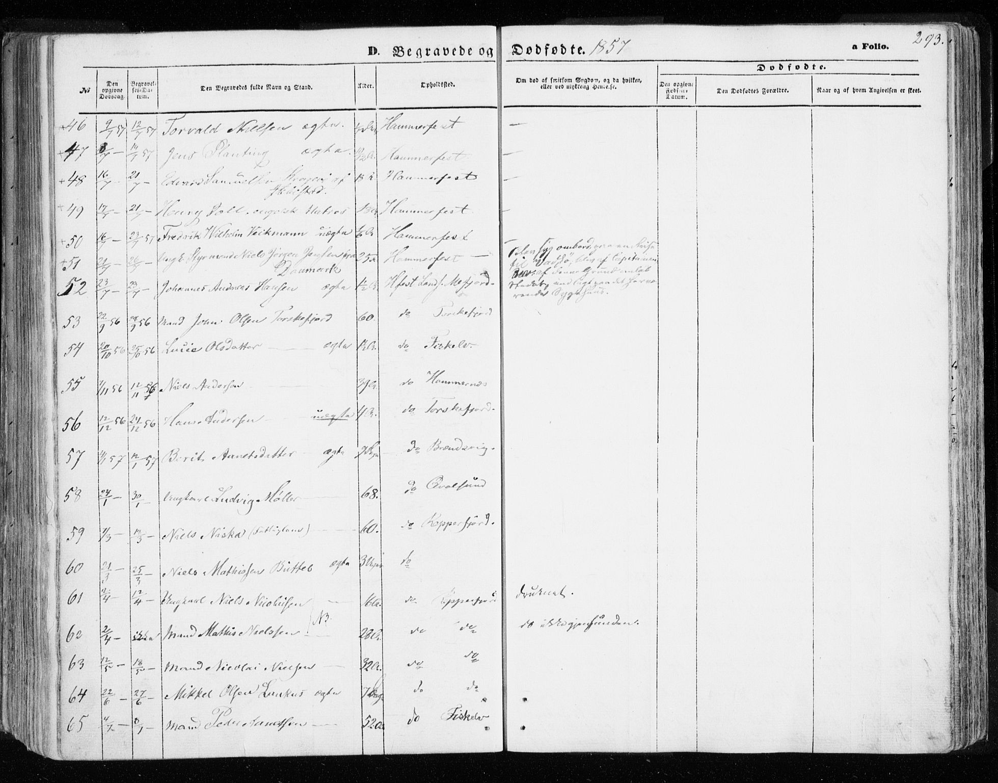 Hammerfest sokneprestkontor, AV/SATØ-S-1347/H/Ha/L0005.kirke: Parish register (official) no. 5, 1857-1869, p. 293