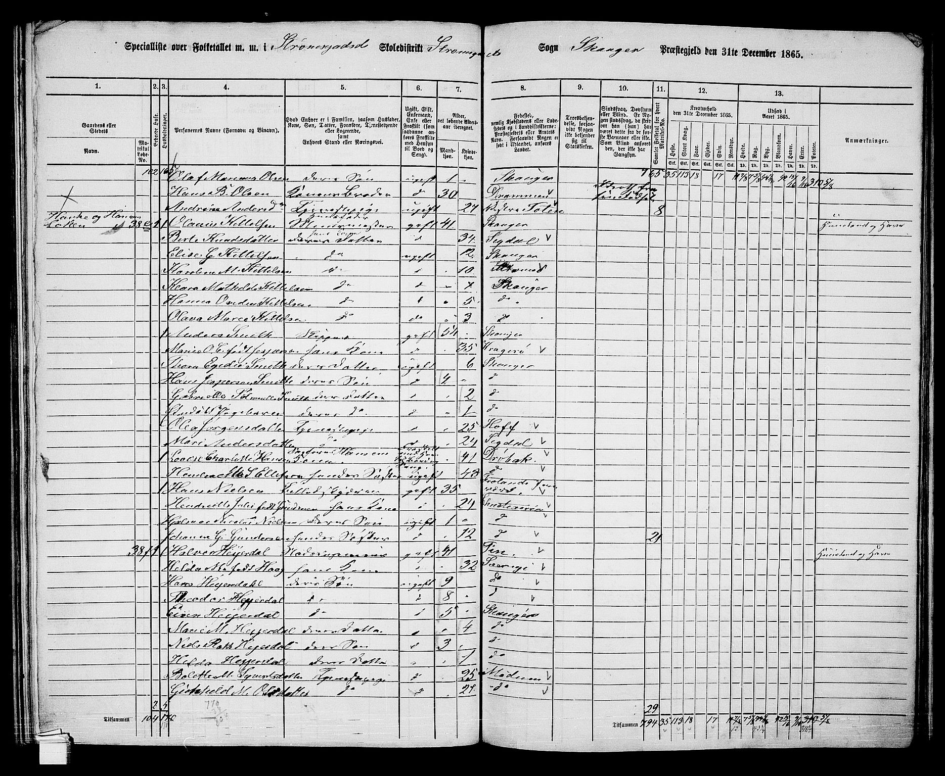 RA, 1865 census for Skoger, 1865, p. 143