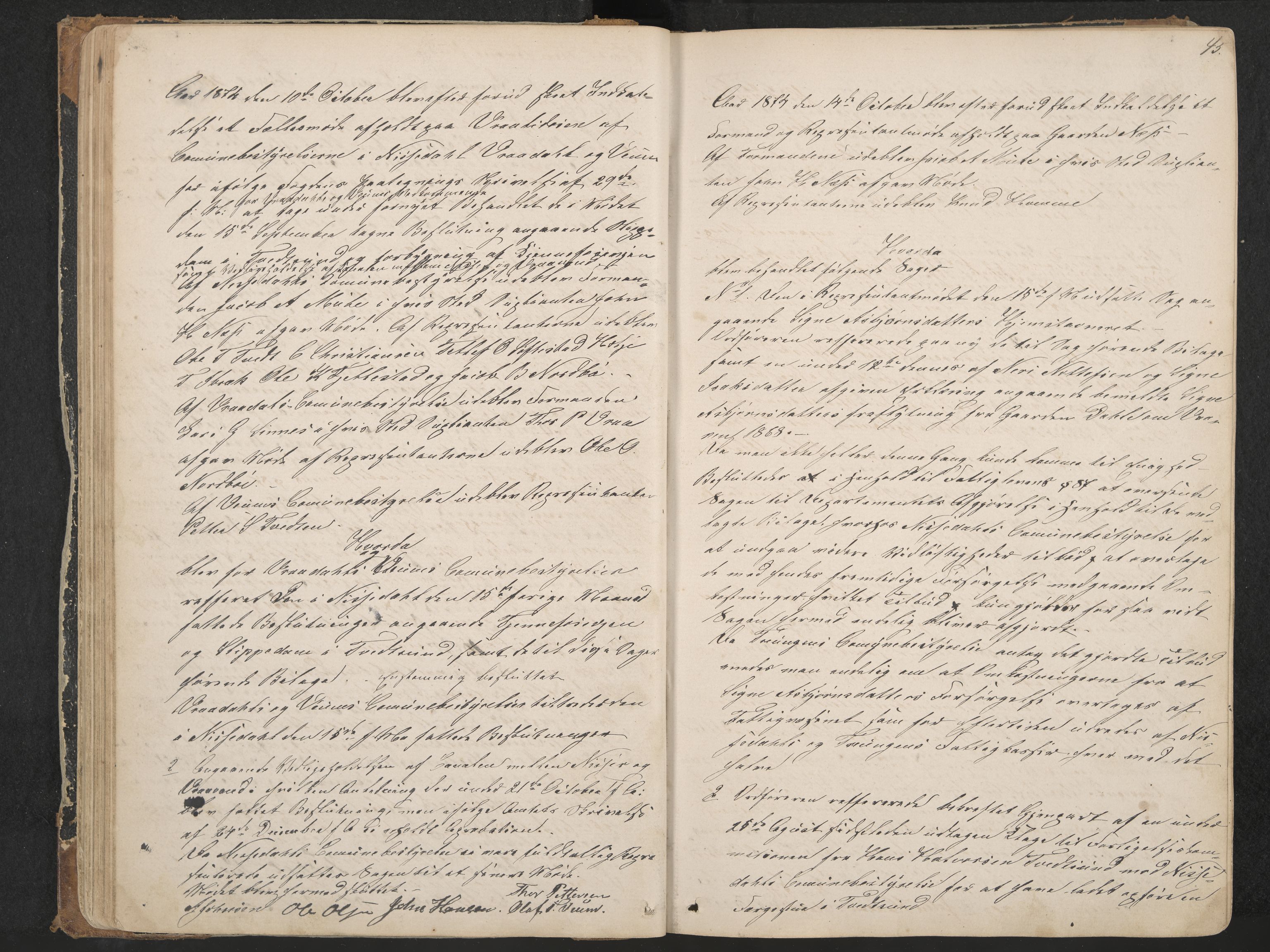 Nissedal formannskap og sentraladministrasjon, IKAK/0830021-1/A/L0002: Møtebok, 1870-1892, p. 45