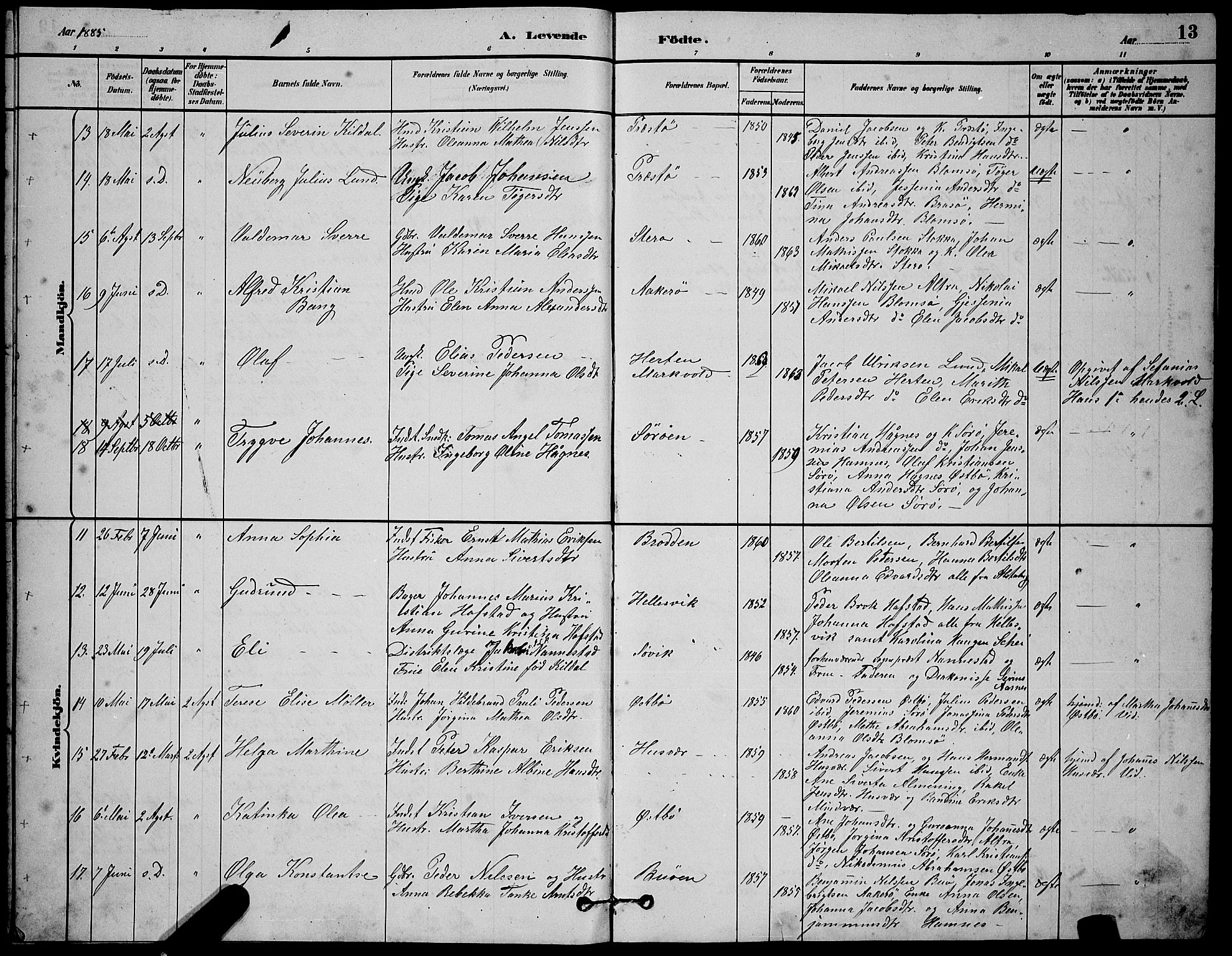 Ministerialprotokoller, klokkerbøker og fødselsregistre - Nordland, AV/SAT-A-1459/830/L0462: Parish register (copy) no. 830C04, 1882-1895, p. 13