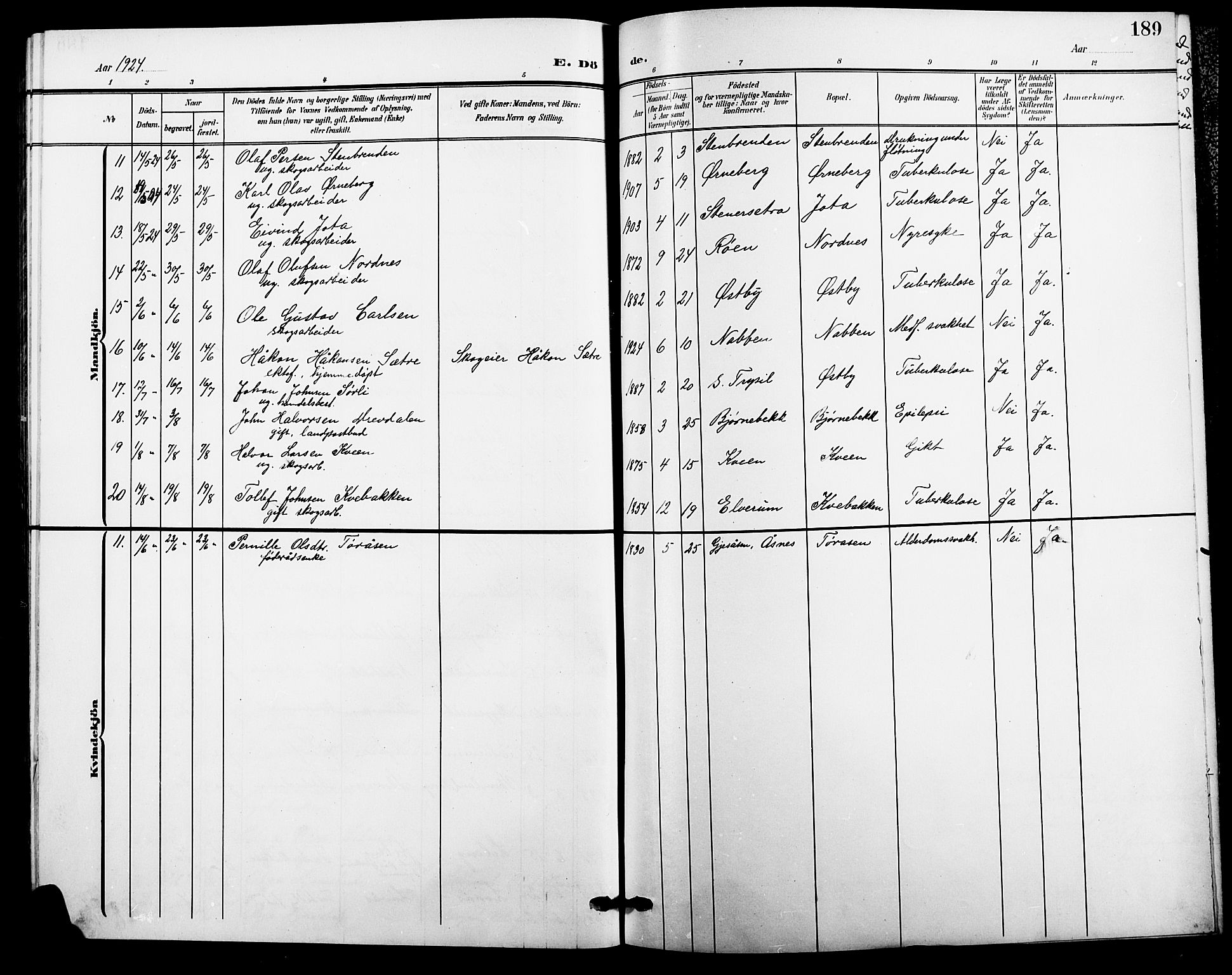 Trysil prestekontor, AV/SAH-PREST-046/H/Ha/Hab/L0009: Parish register (copy) no. 9, 1904-1924, p. 189