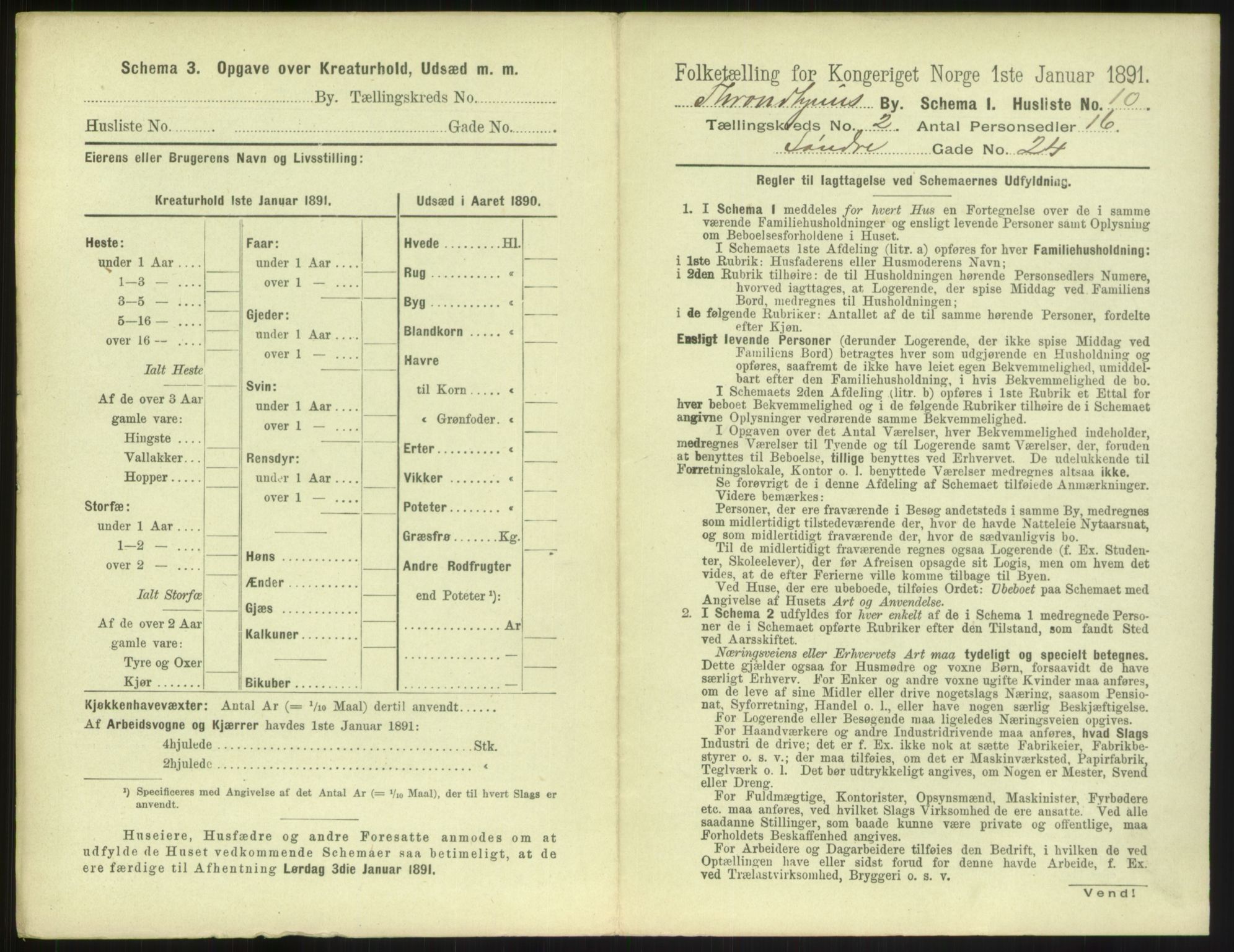 RA, 1891 census for 1601 Trondheim, 1891, p. 254