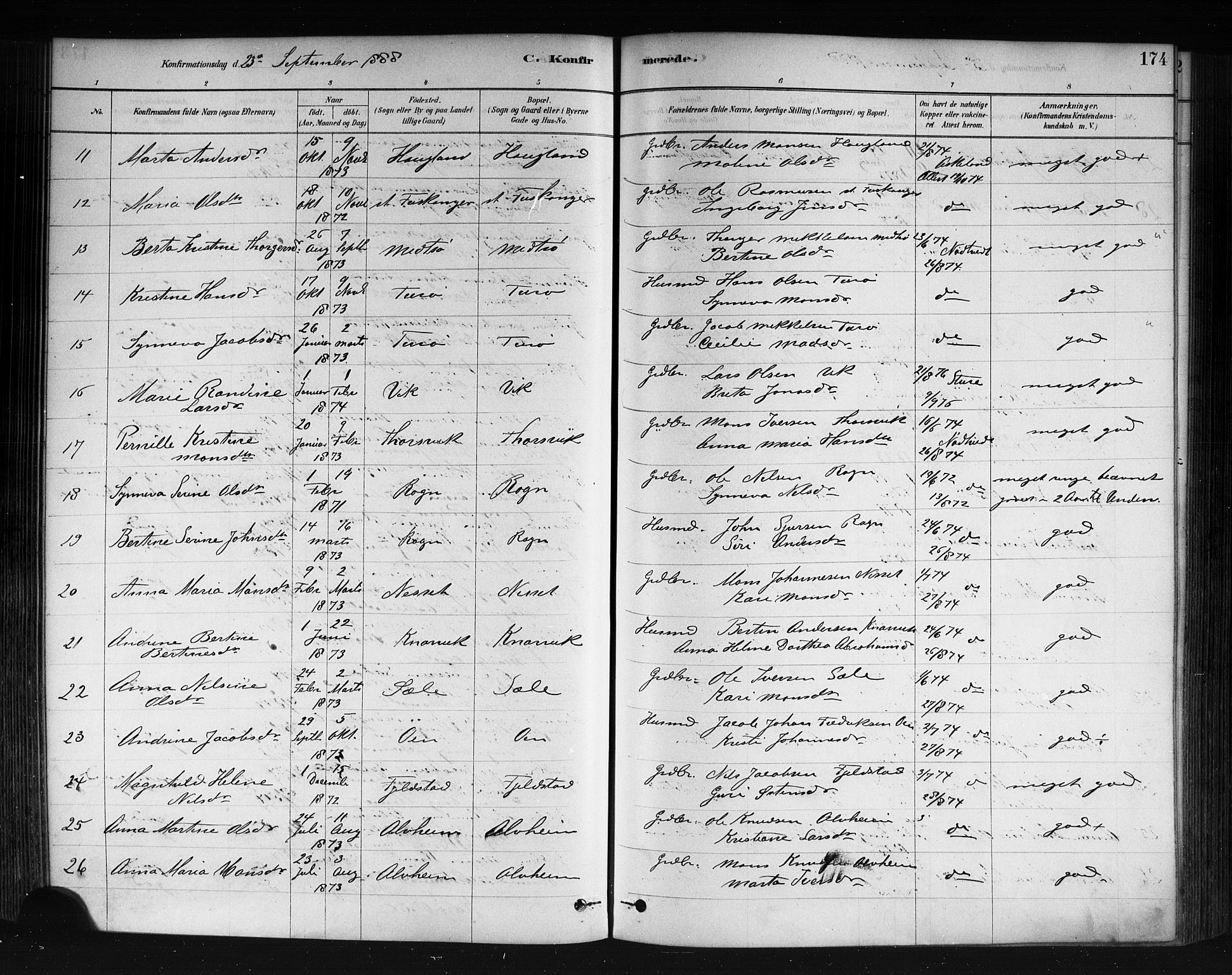 Herdla Sokneprestembete, AV/SAB-A-75701/H/Haa: Parish register (official) no. A 3, 1878-1890, p. 174