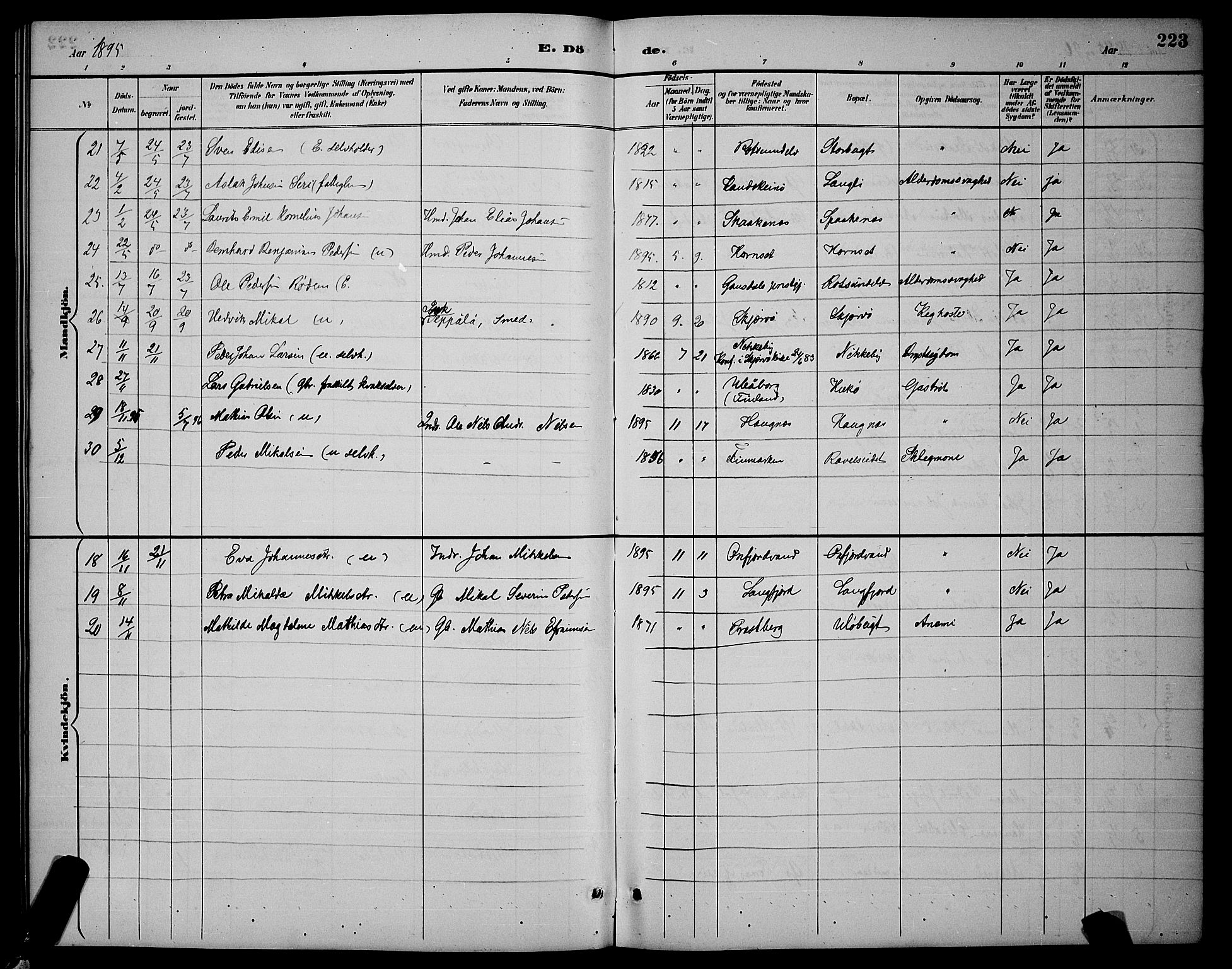 Skjervøy sokneprestkontor, AV/SATØ-S-1300/H/Ha/Hab/L0007klokker: Parish register (copy) no. 7, 1889-1899, p. 223