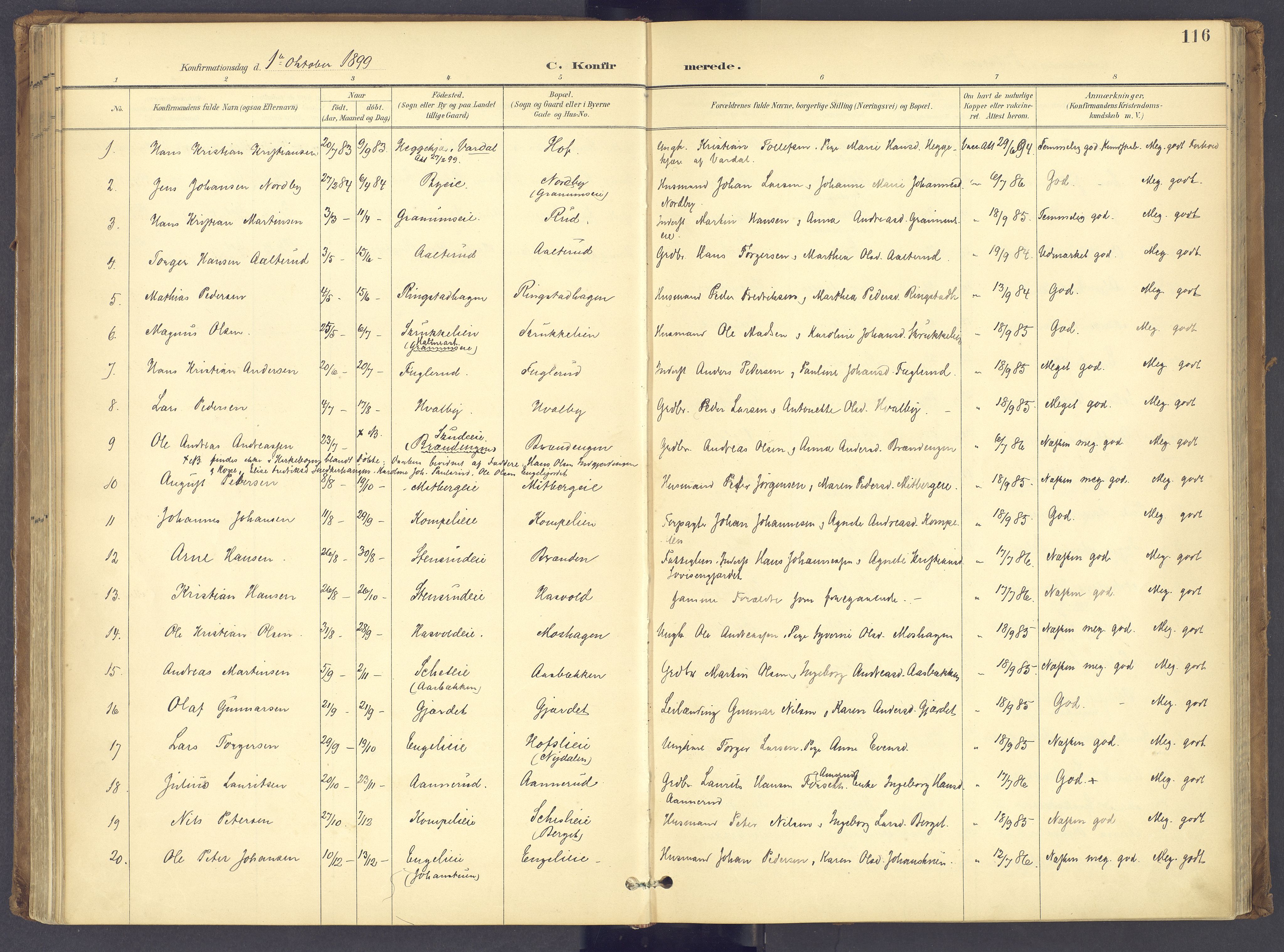 Søndre Land prestekontor, SAH/PREST-122/K/L0006: Parish register (official) no. 6, 1895-1904, p. 116